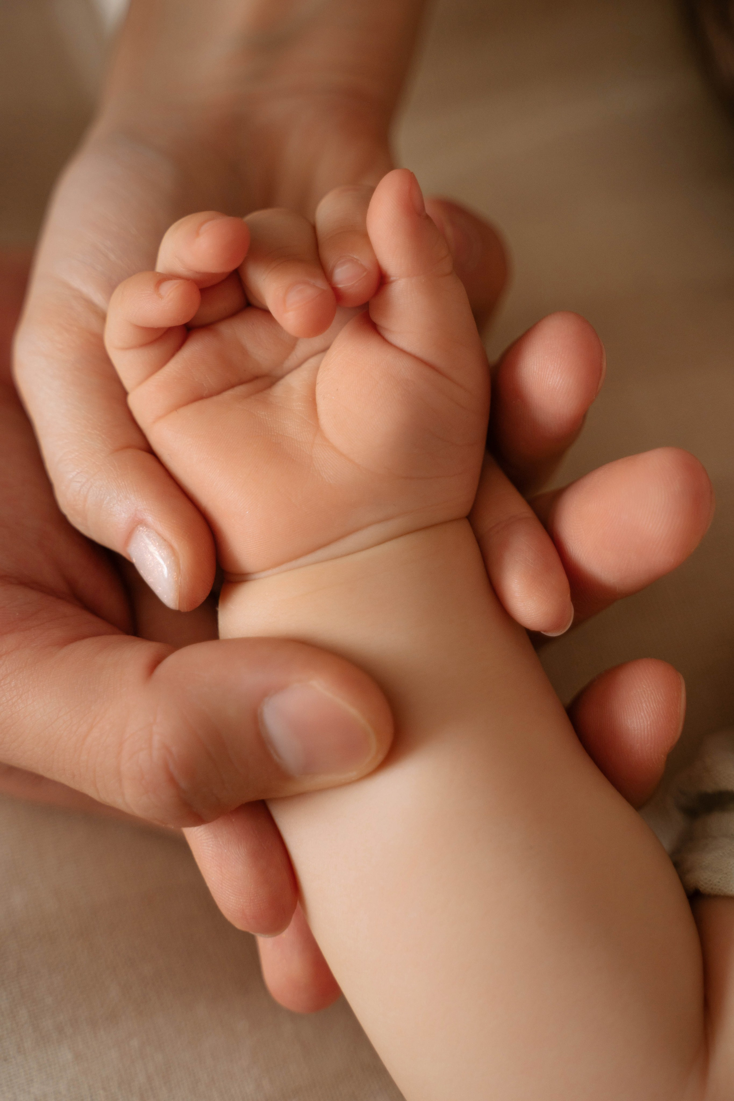 Тёплые мгновения. Свадебный фотограф в Краснодаре и Санкт-Петербурге Евгения Алексеева