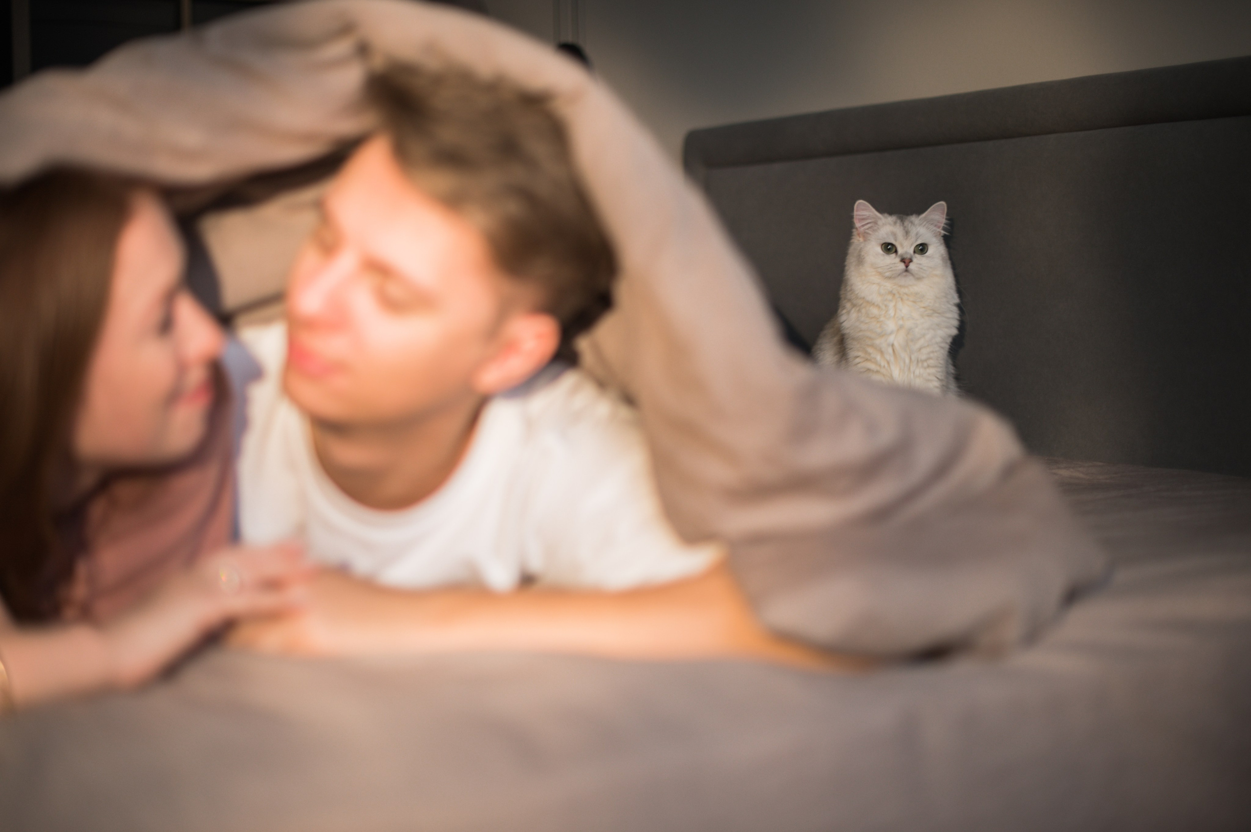 Леша и Даша. Свадебный и репортажный фотограф видеограф Брянск/Москва