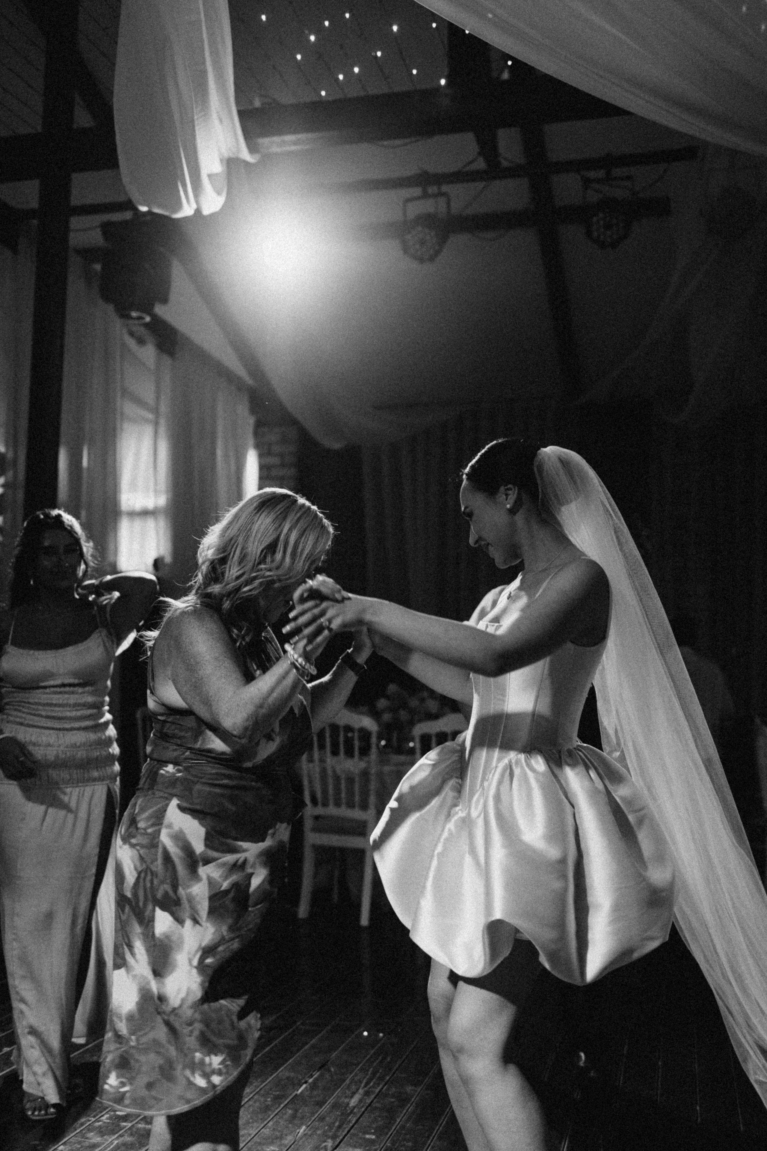 Крокус. Alesya Gee Photographer Uzbekistan