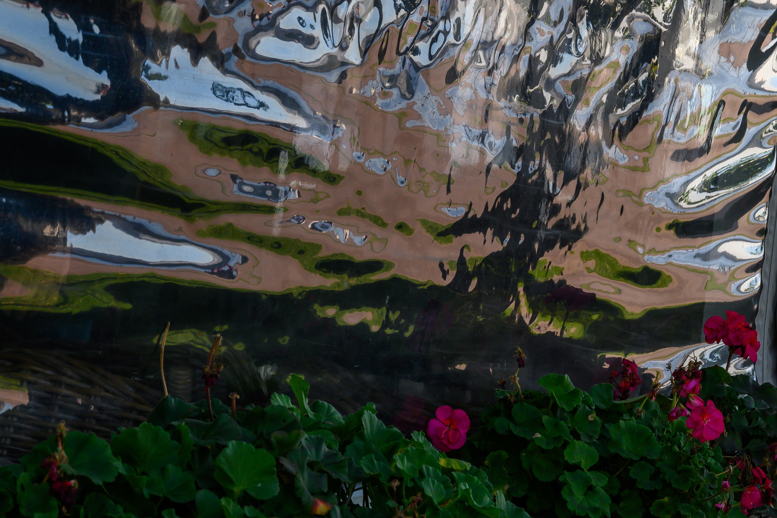 Light. Dimitri Bakhtadze photographer