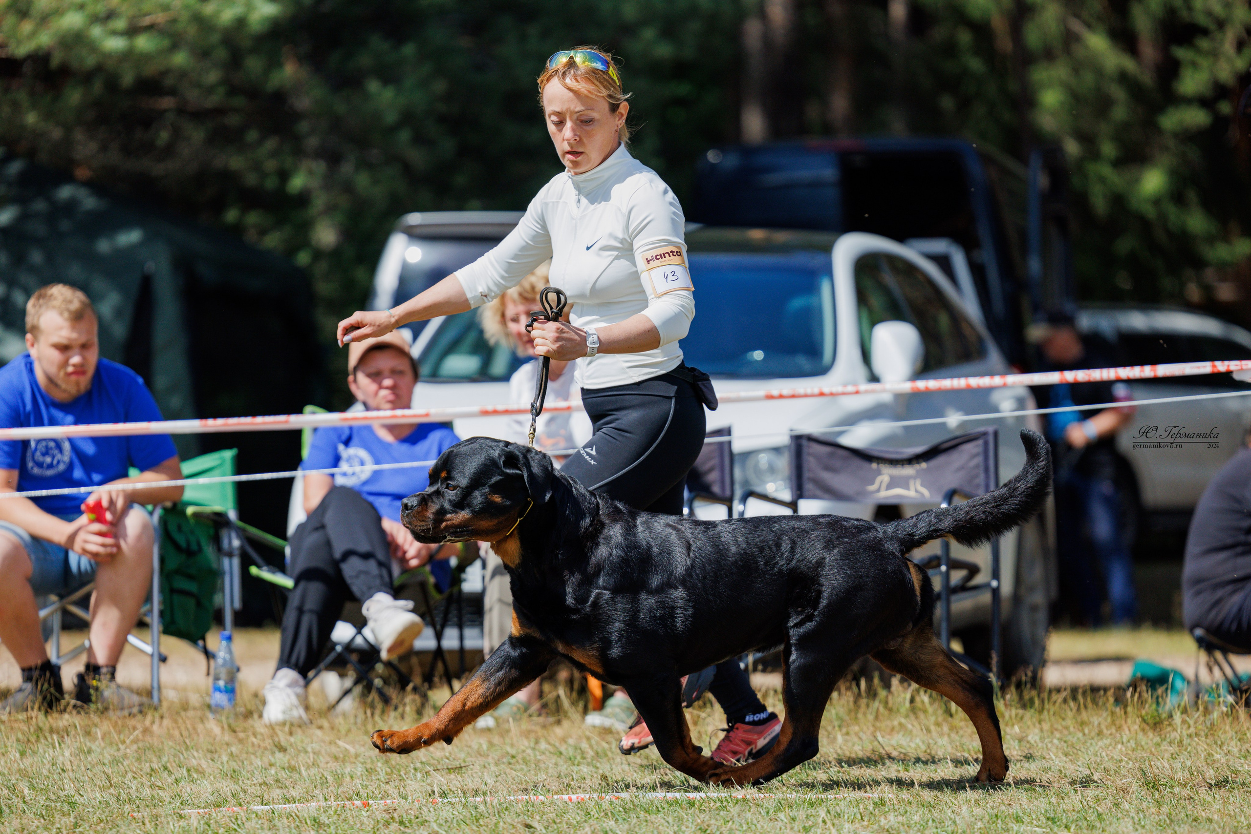 ПК и КЧК ротвейлеры Тверь 6-7.07.2024. Фотограф-анималист Юлия Германика