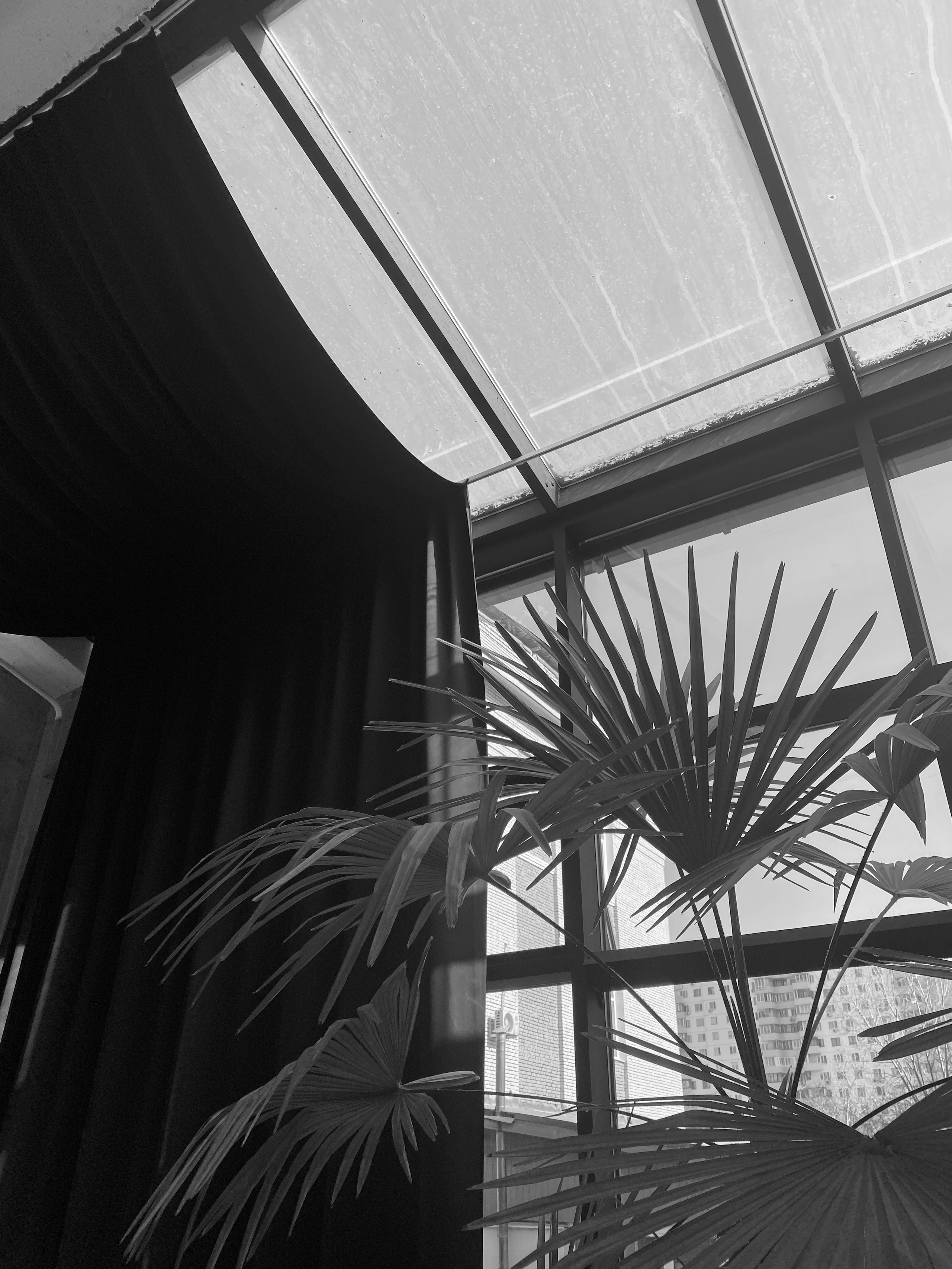 Фотограф москва