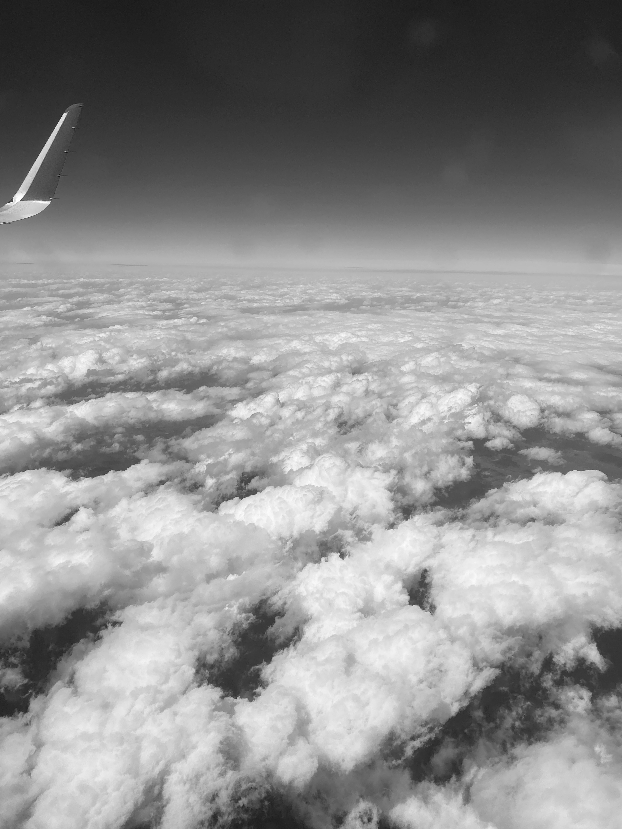 Фотограф москва