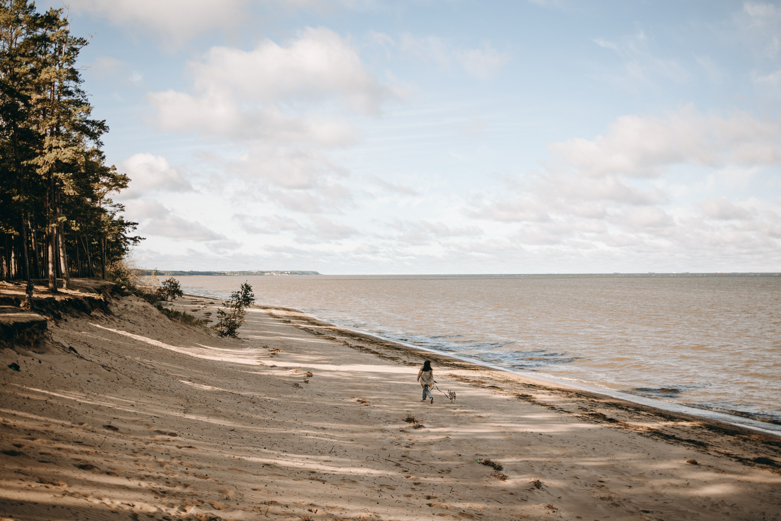 Алиса и Лео. Фотограф — Анималист | Санкт-Петербург