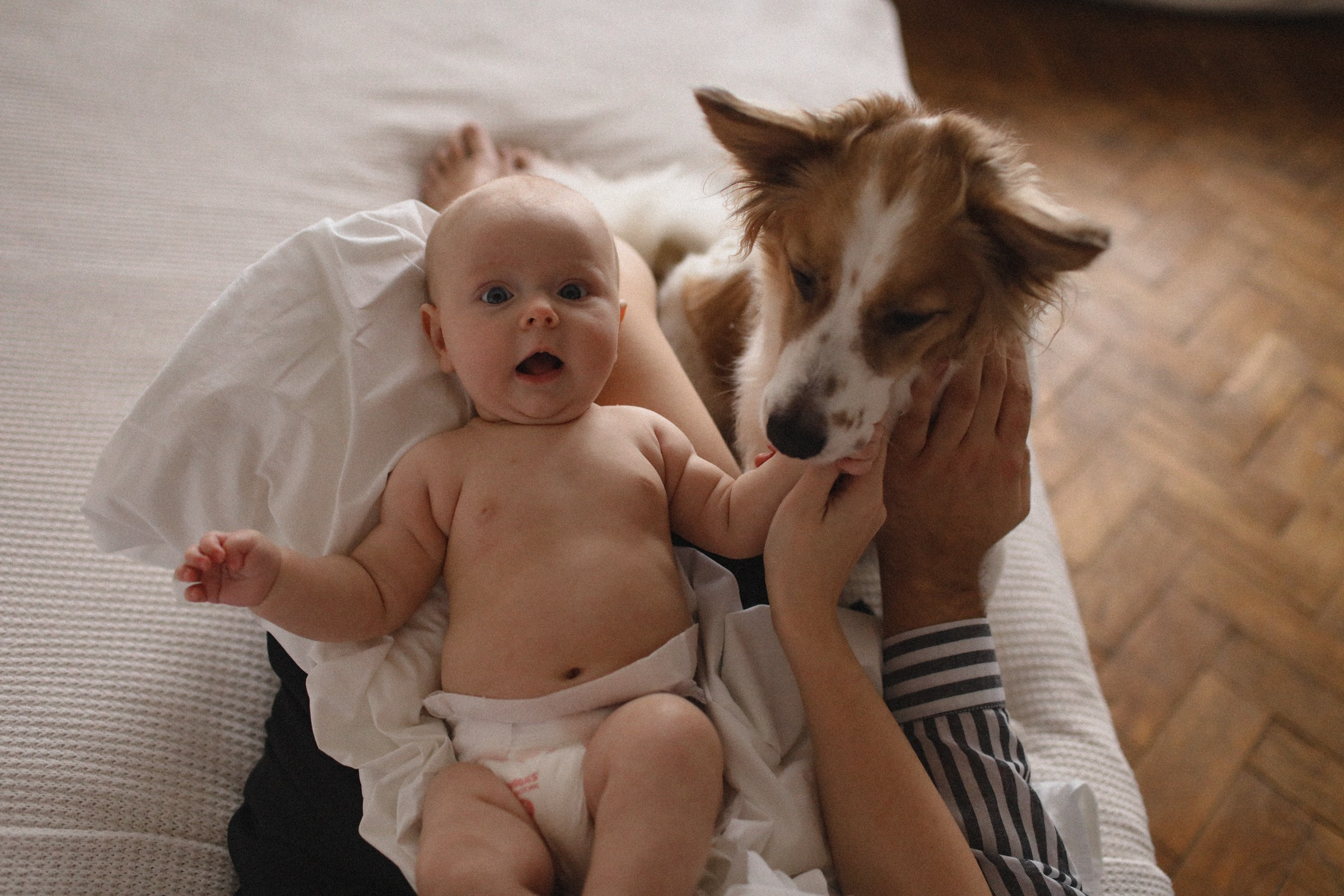 Нежность. Семейный фотограф в Москве Алевтина Носова