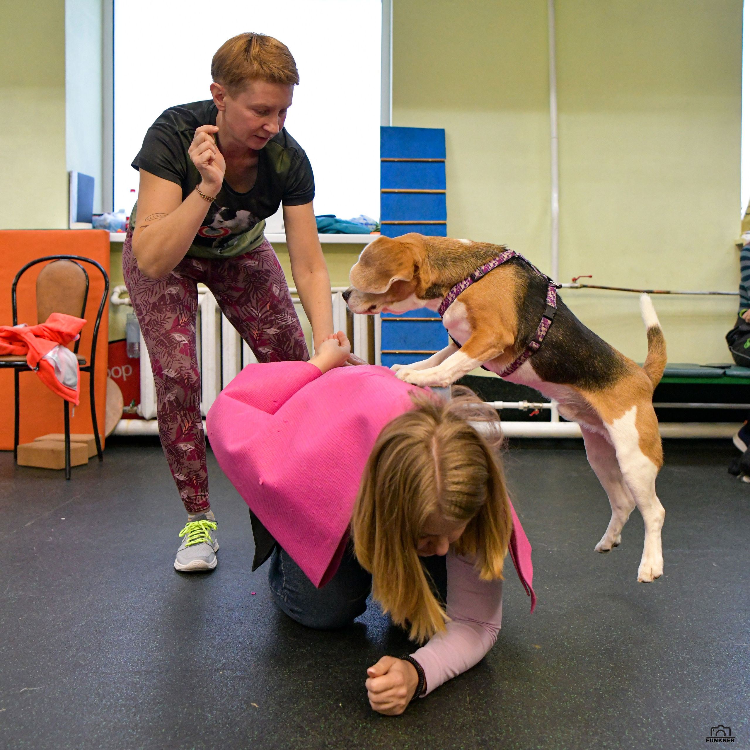Кинологический клуб «Бодрый хвост». Свой взгляд через объектив