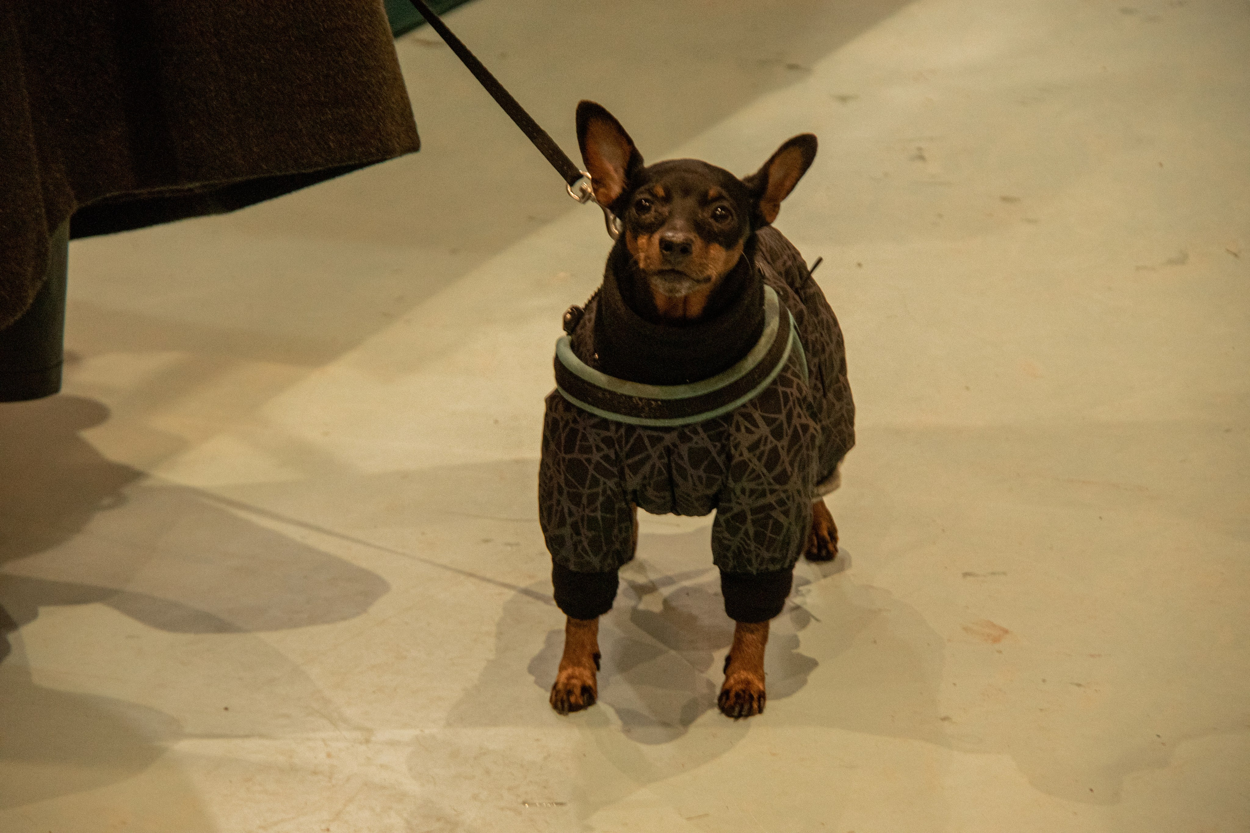 Ceramania 14.12.24. Janie valde |photographer & visual artist