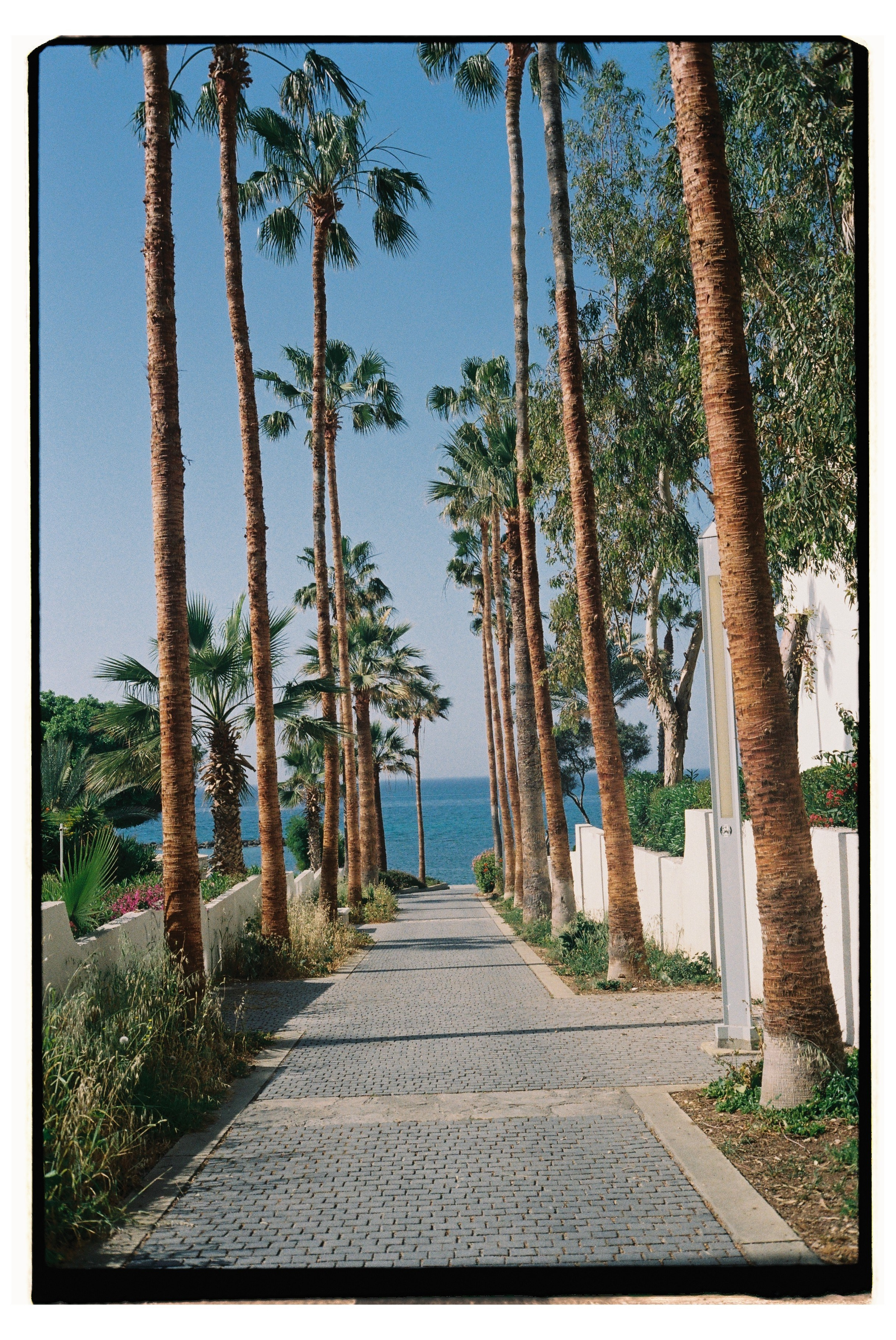 Mediterraneo. Фотограф Анастасия Губернаторова