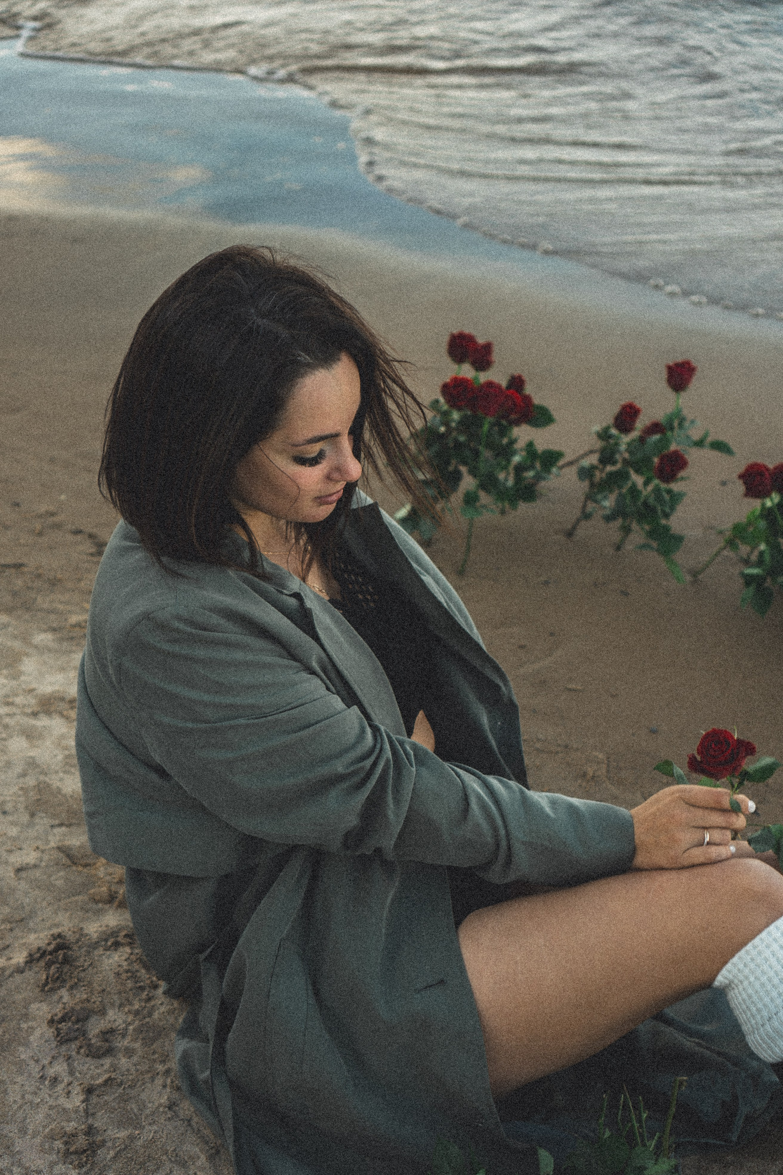 Розы. Профессиональный фотограф, Санкт-Петербург — Виктория Богомолова