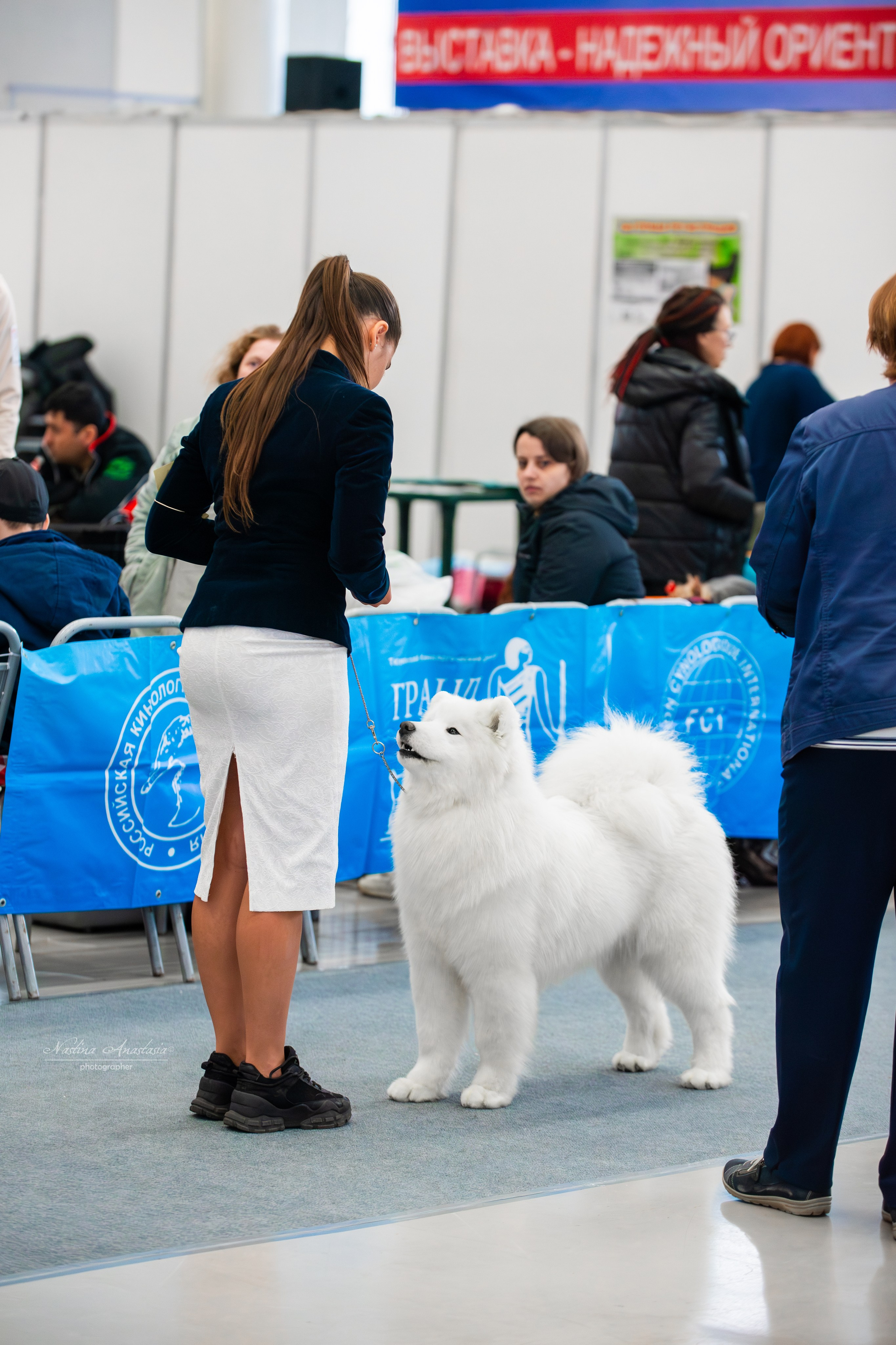 Выставки. Фотограф — Анималист