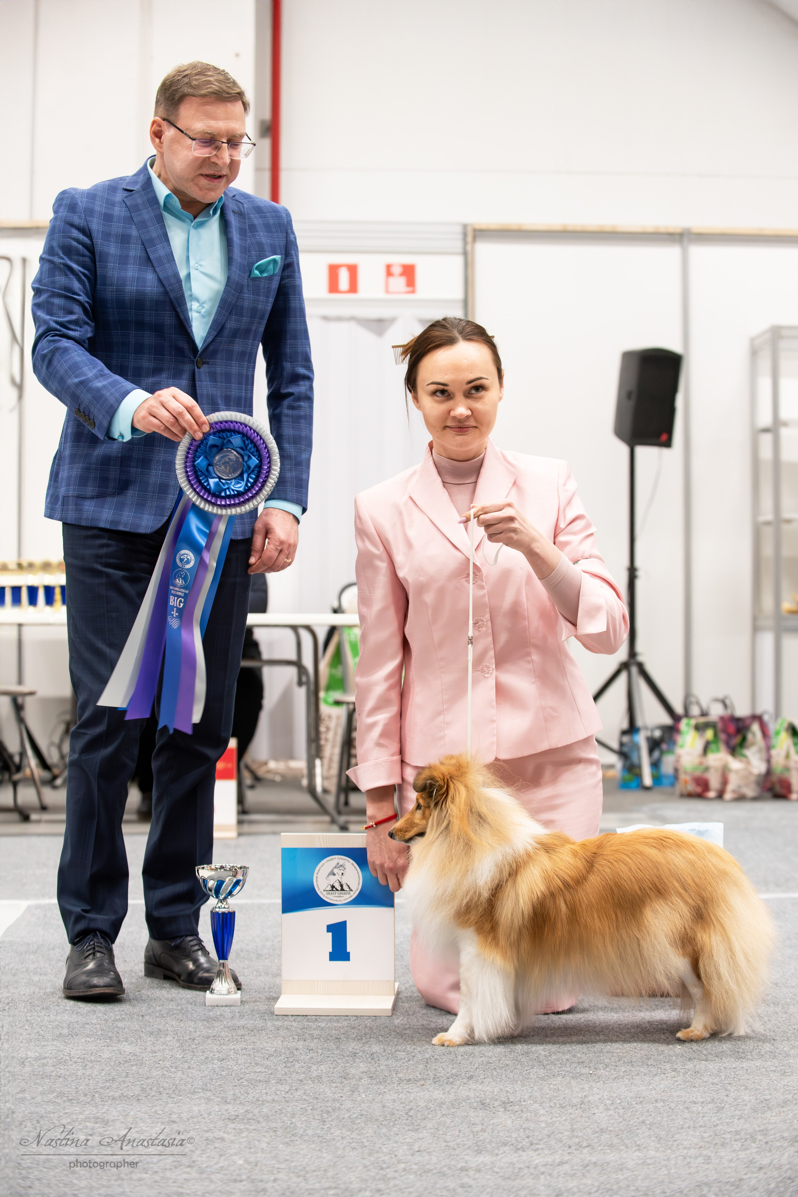 Выставки. Фотограф — Анималист