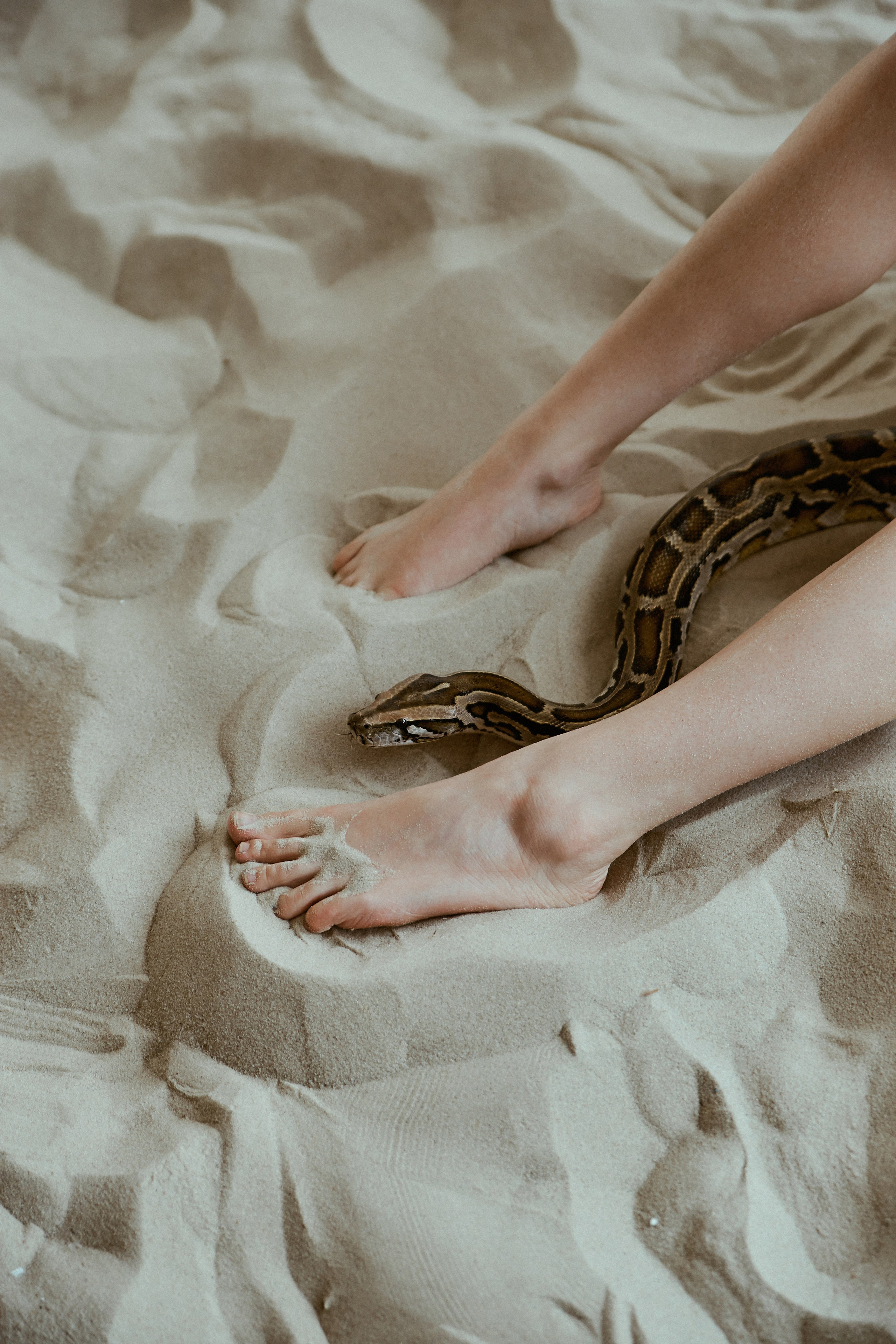 Мои фотопроекты. Анастасия Марунич | Блогер | Ставрополь