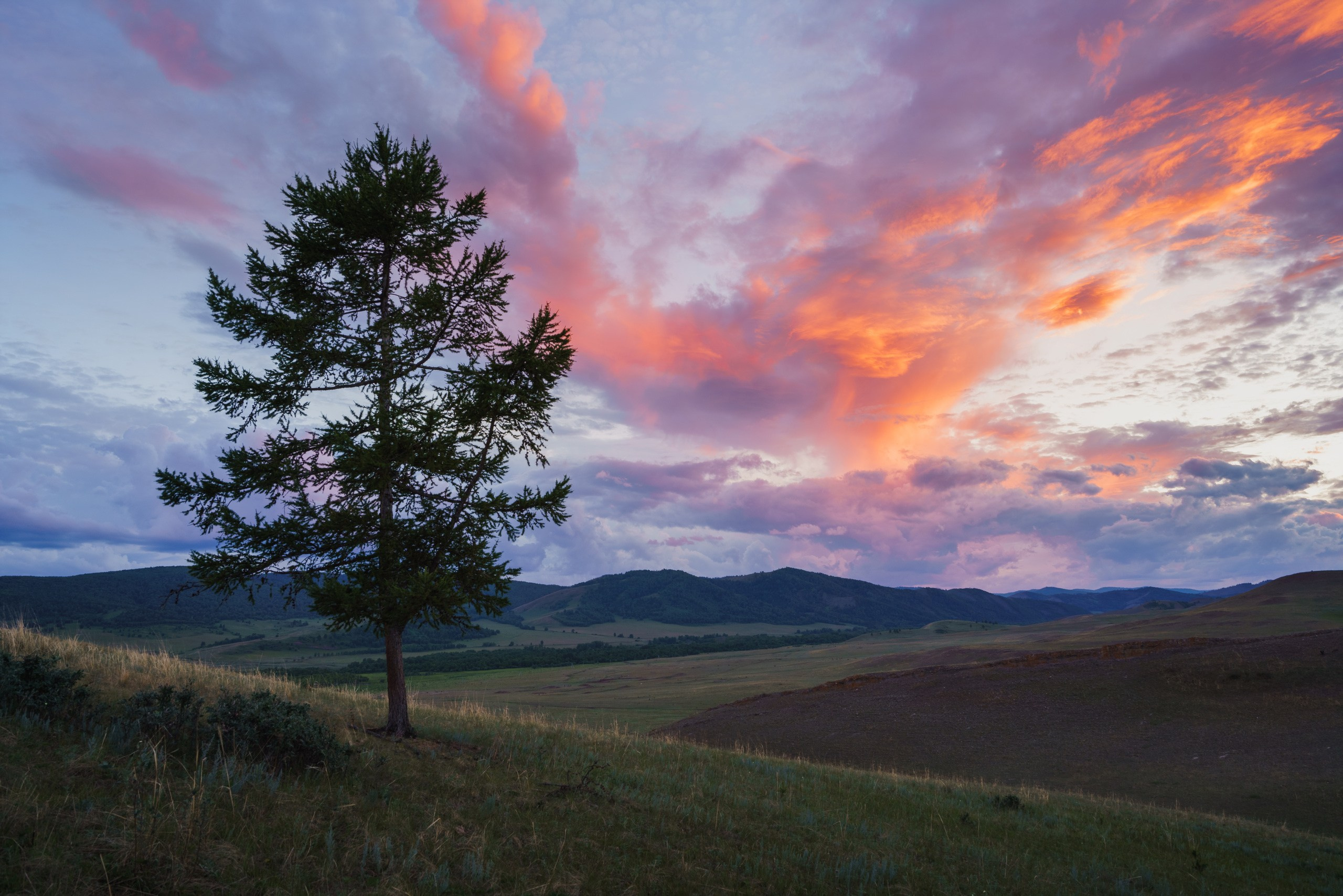 Хакасия. Фотограф в Красноярске Нерозя Александр. Пейзаж, природа, портрет