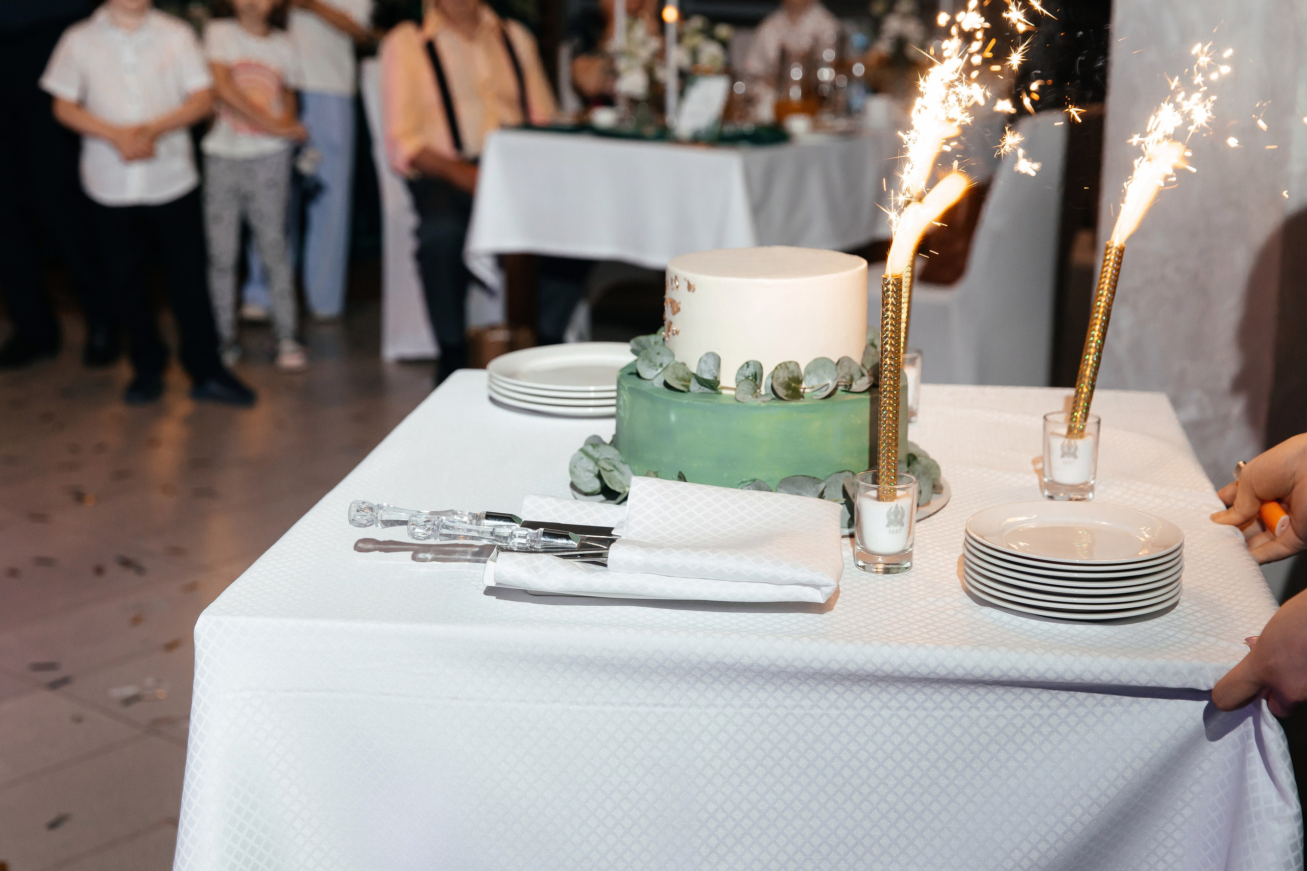 Дмитрий и Виктория. Свадебный и семейный фотограф в Вологде Наталия Краснова