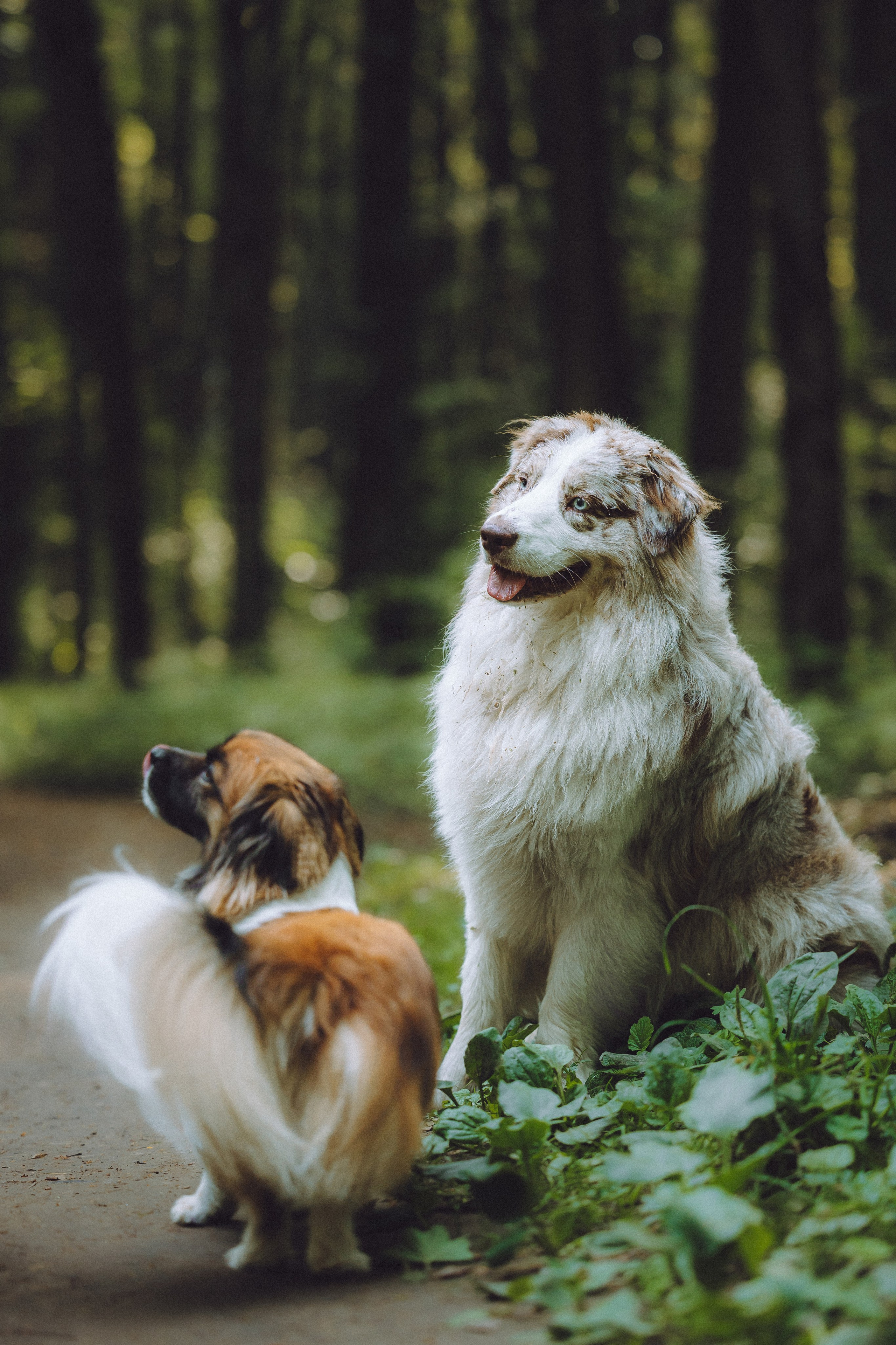 Катя, Андрей, Гектор, Ричи, Тортик и Трой