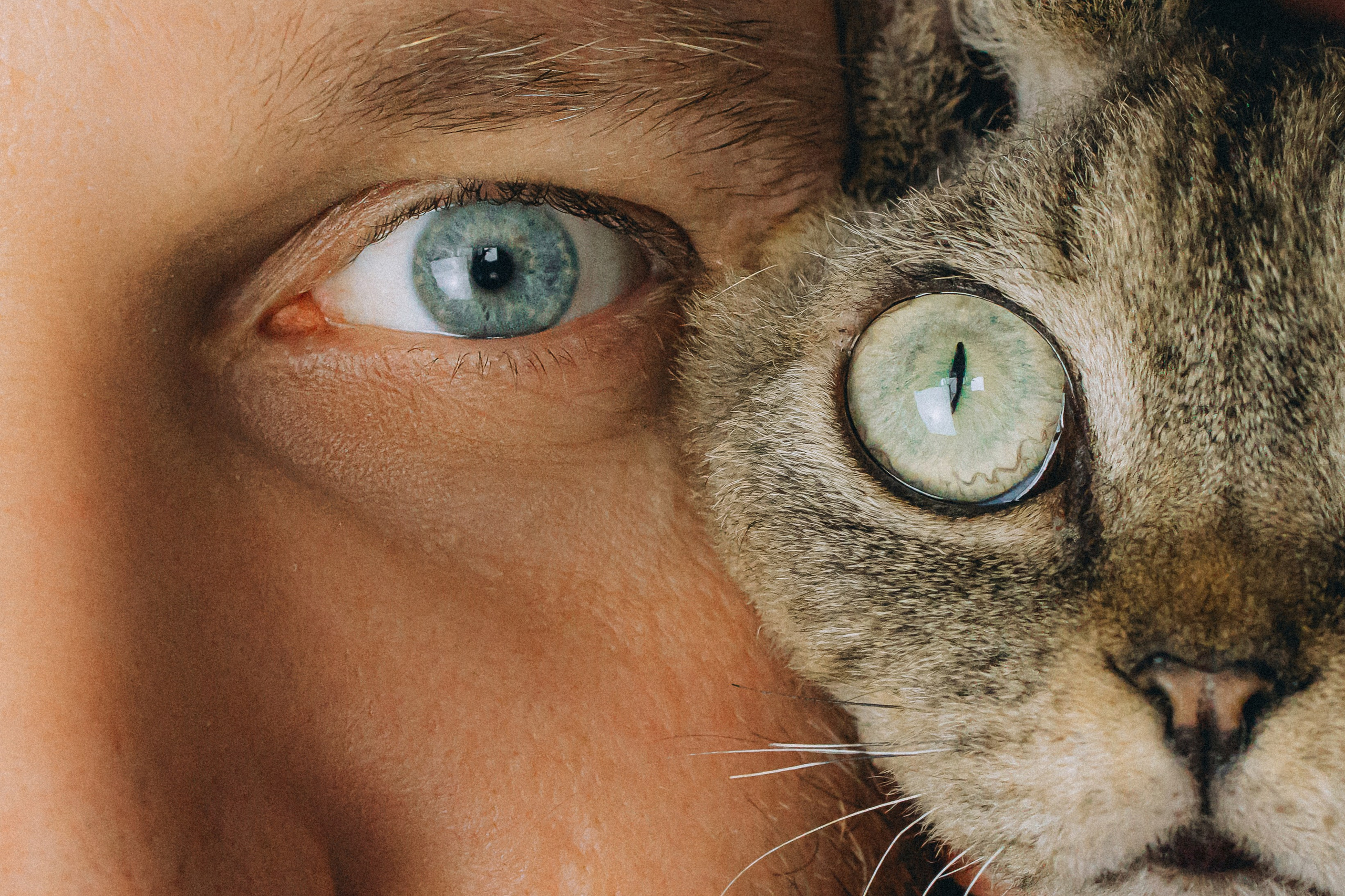 Гречка, Ковш и их семья