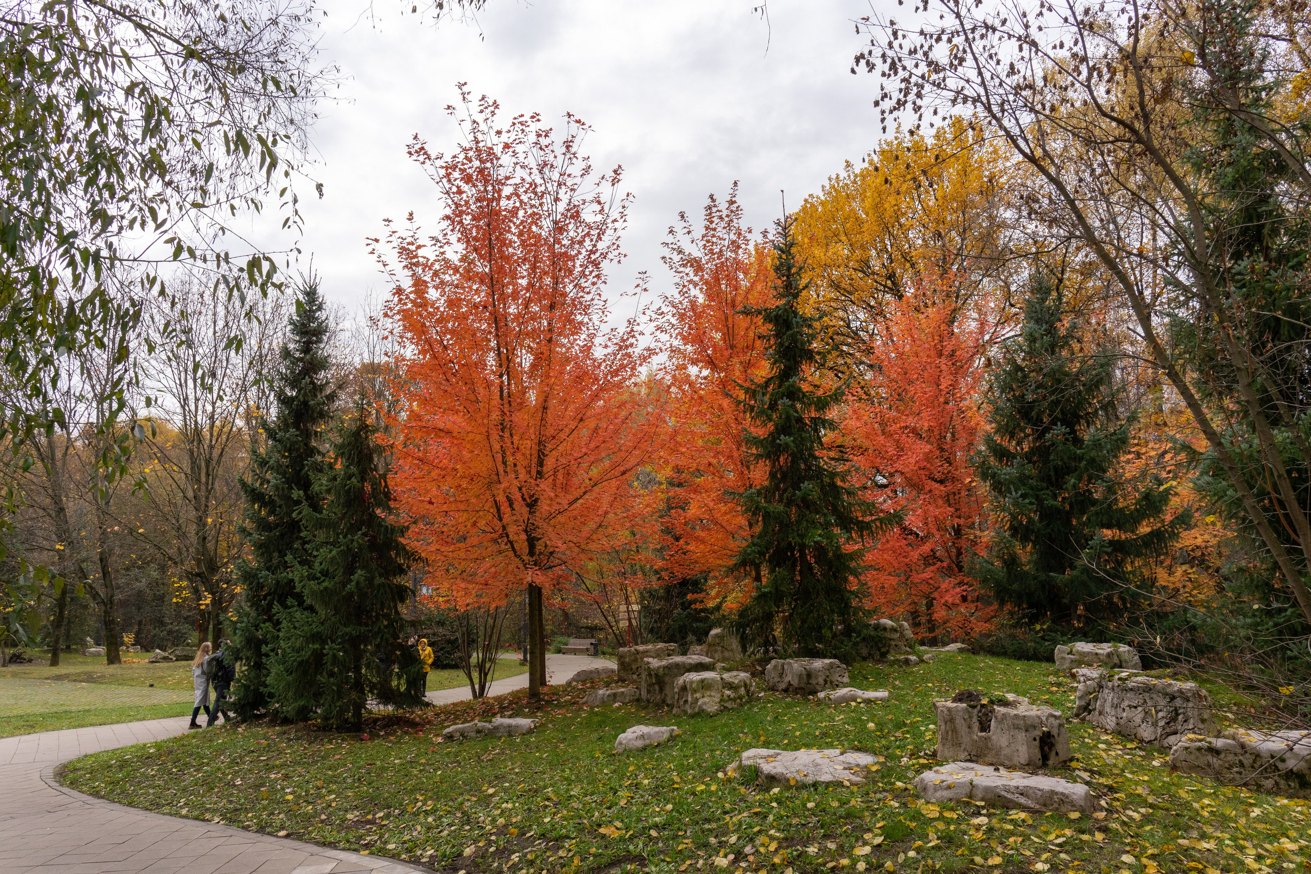 Осень, autumn, парк, деревья, лист, красный, желтый, зеленый. Авторские фотографии Чугунова Николая