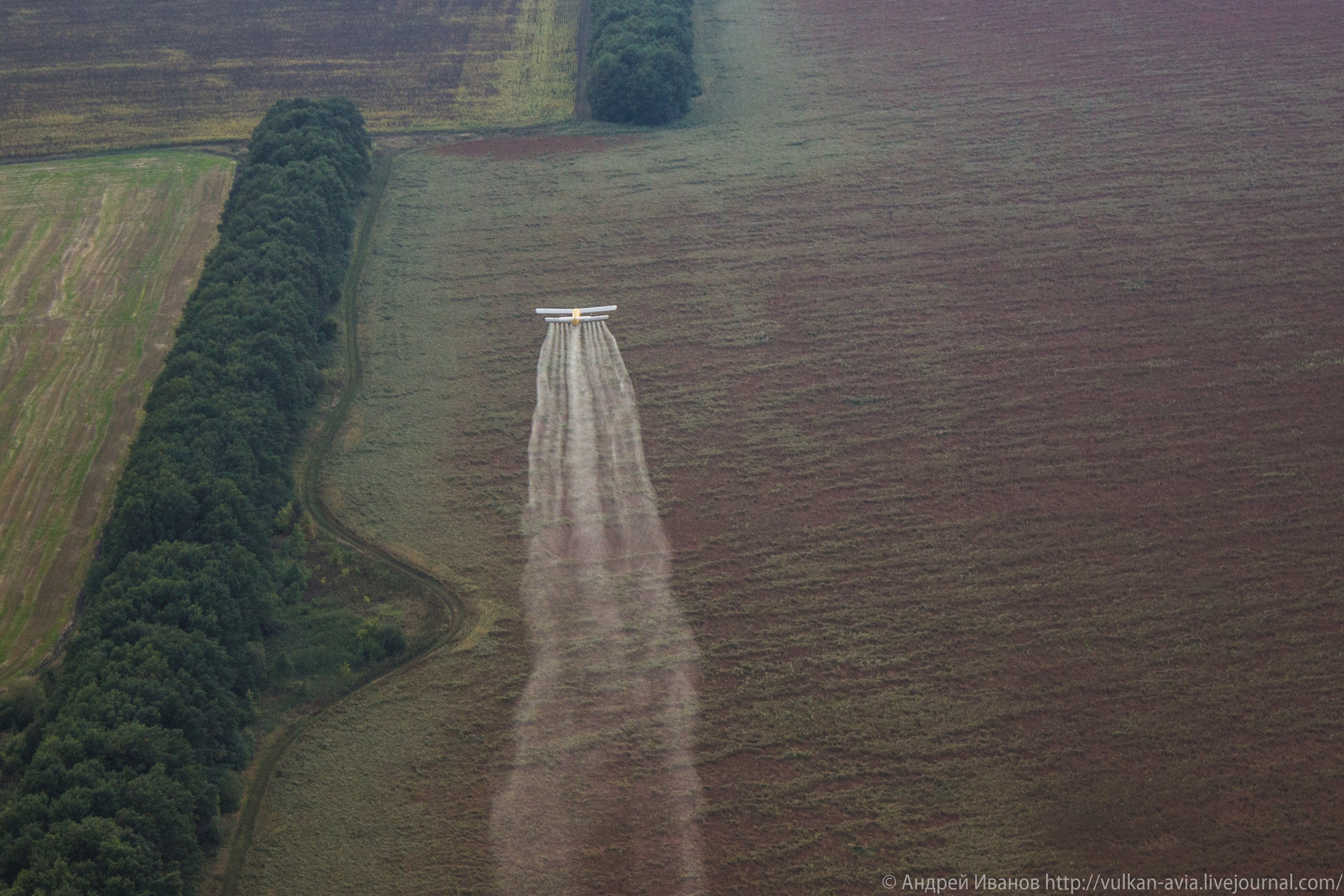 Волгодонск аэр. Потапов слёт «Небо для всех» (2021 г.). Фотоальбом показывающий увлекательный мир авиации и мир медведей Андрея Иванова