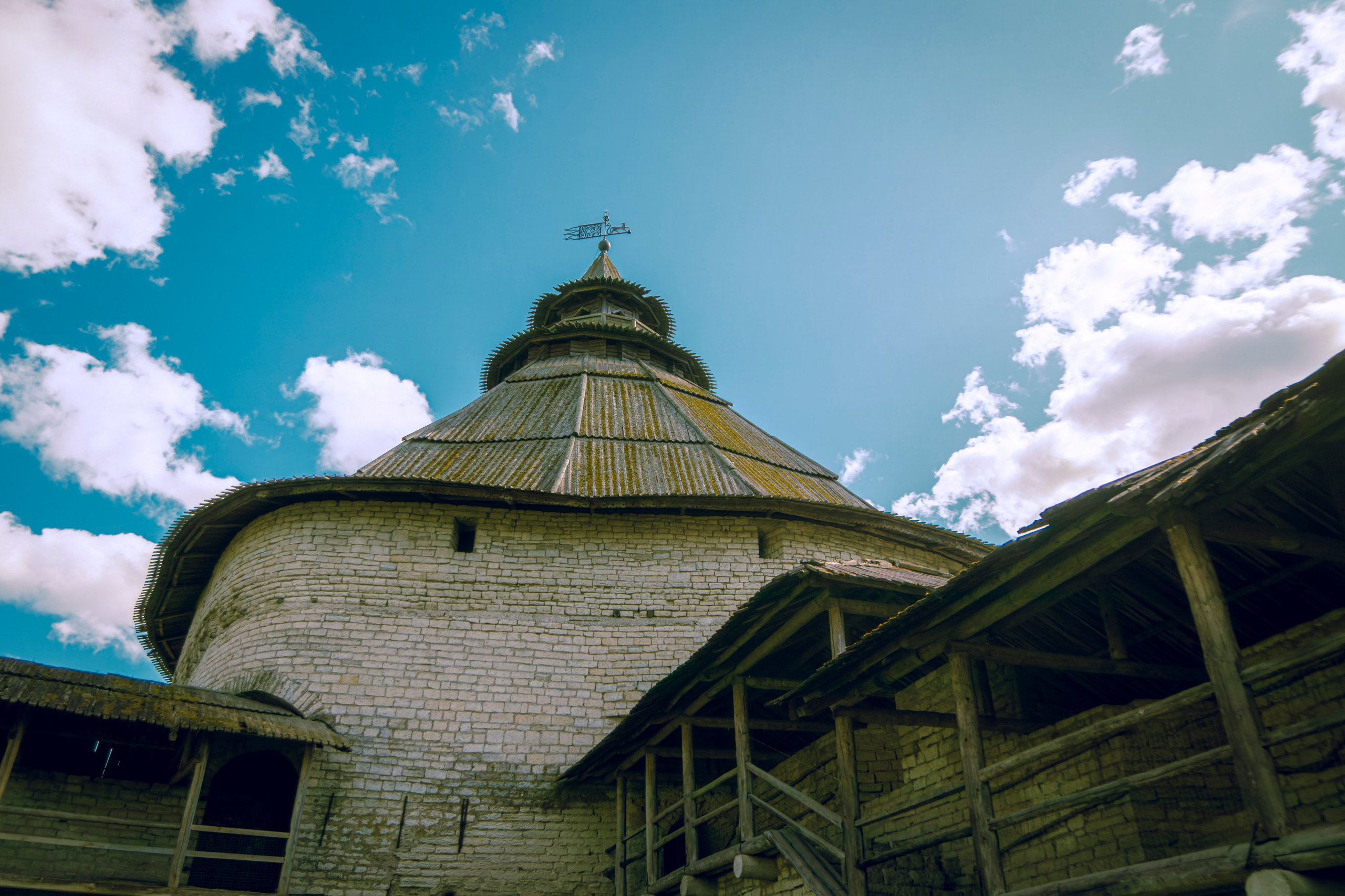 Из наблюдений. Плак или Квак