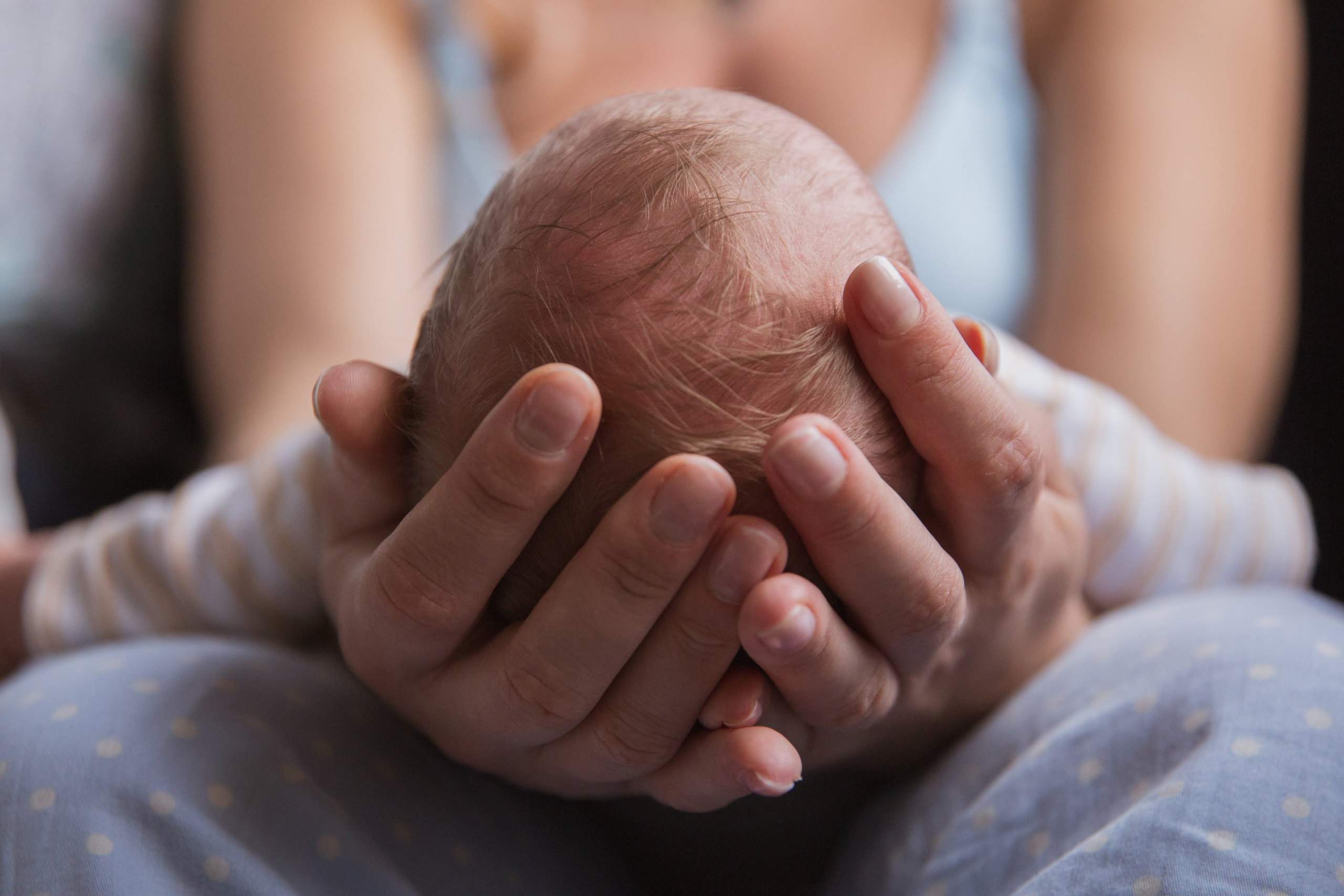 Аврора и Алиса. Семейный и школьный фотограф в Москве Анна Ткач
