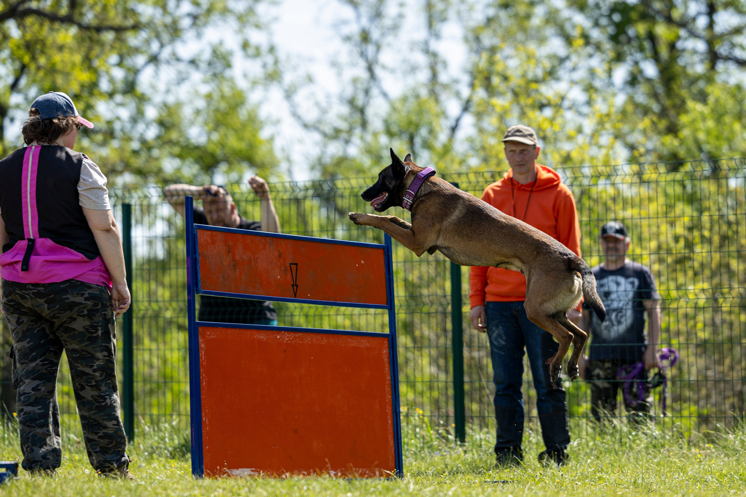 Испытания по мондьорингу в Нижнем Новгороде. Фотограф-анималист Анна Маринич