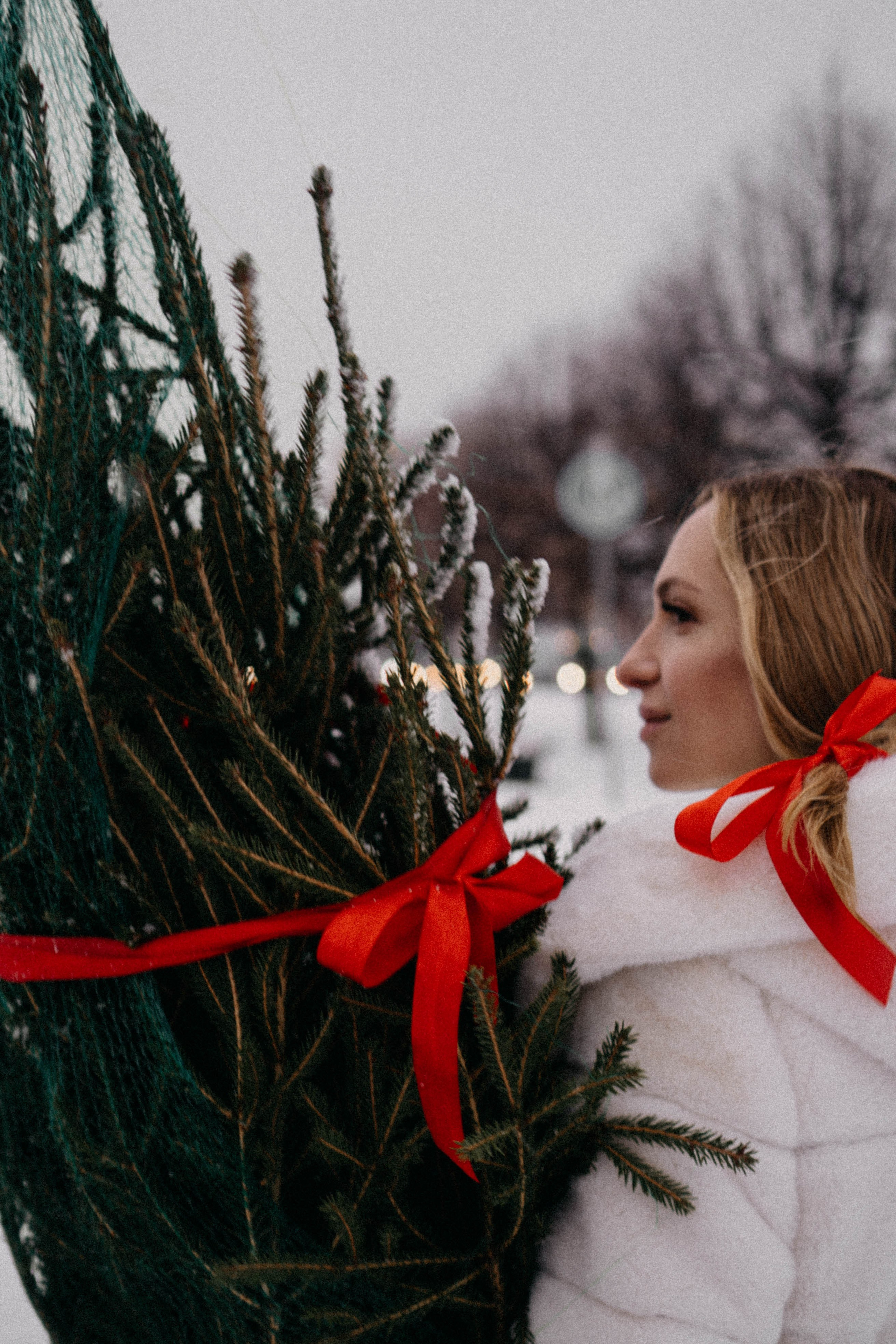 Новогодняя. Профессиональный фотограф, Санкт-Петербург — Виктория Богомолова