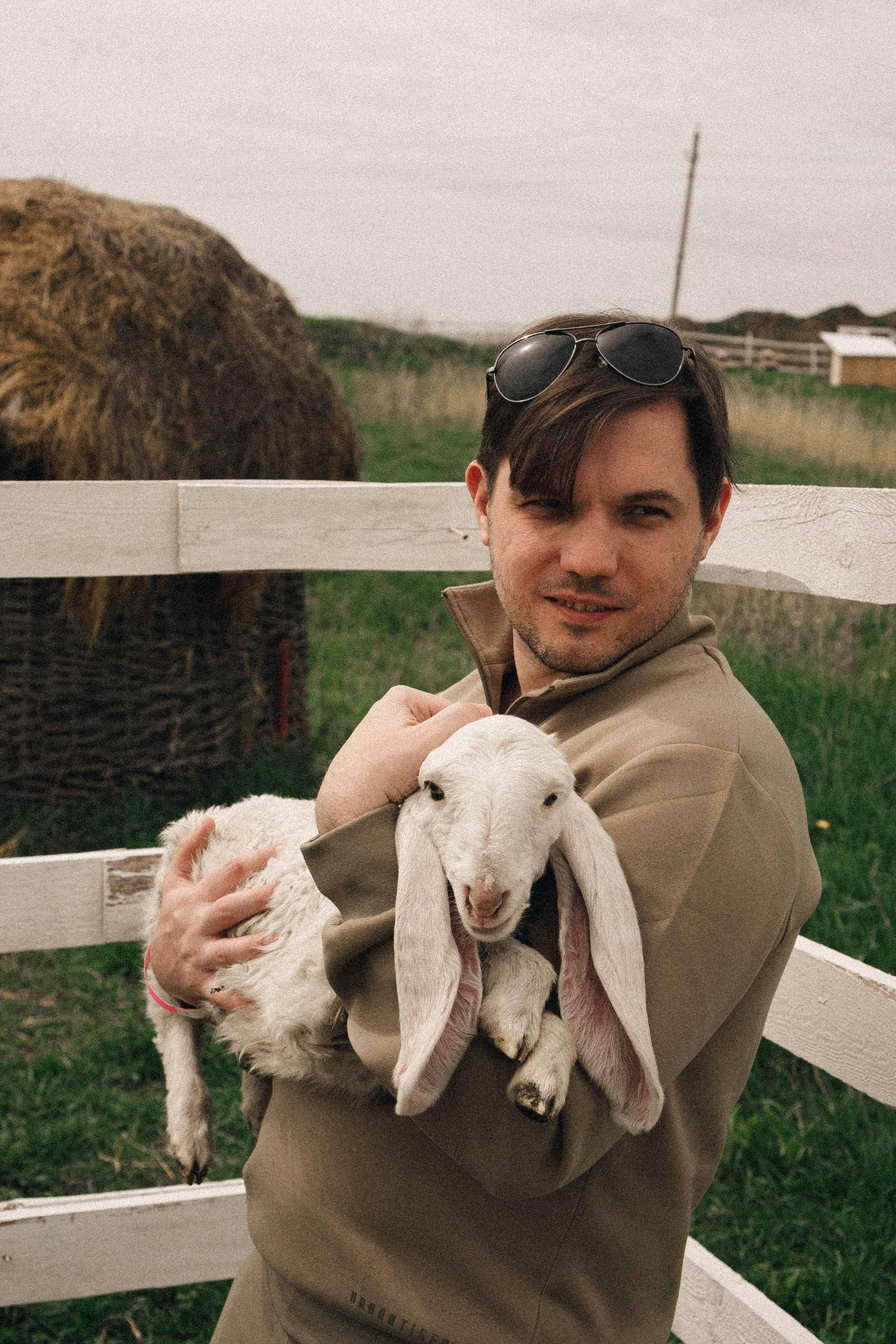 Ферма Альпак. Профессиональный фотограф, Санкт-Петербург — Виктория Богомолова