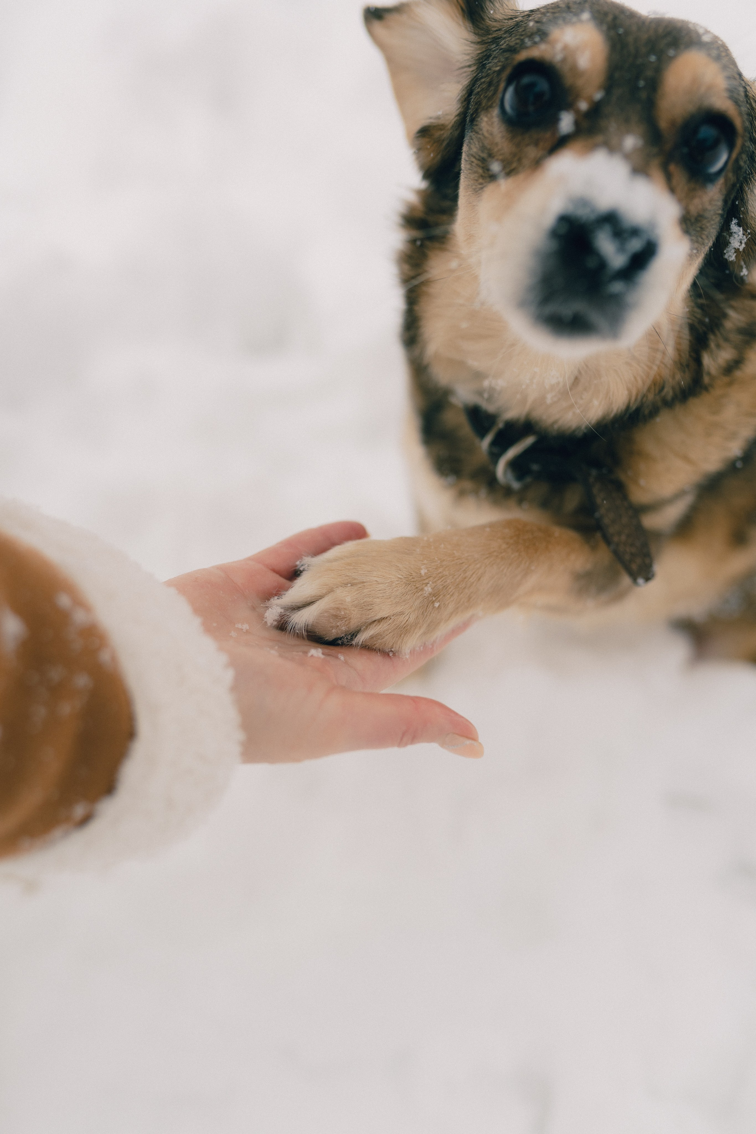 Дарина. Фотограф Екатерина Катунова | Москва