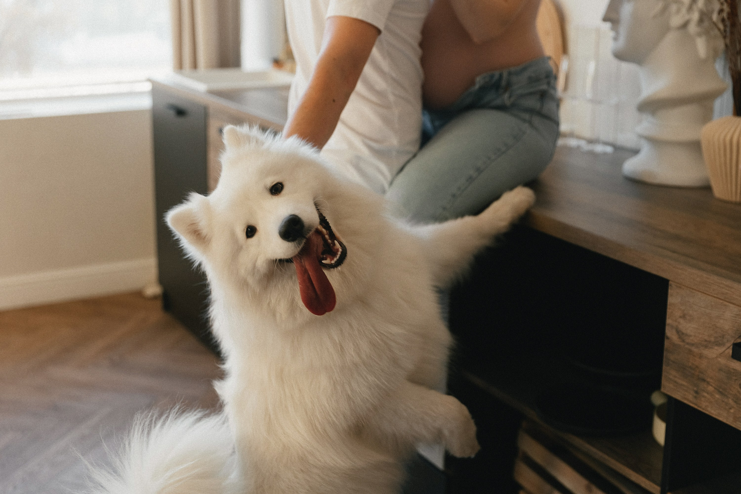 «ПУШИСТОЕ СЧАСТЬЕ». Maria Startseva Photo