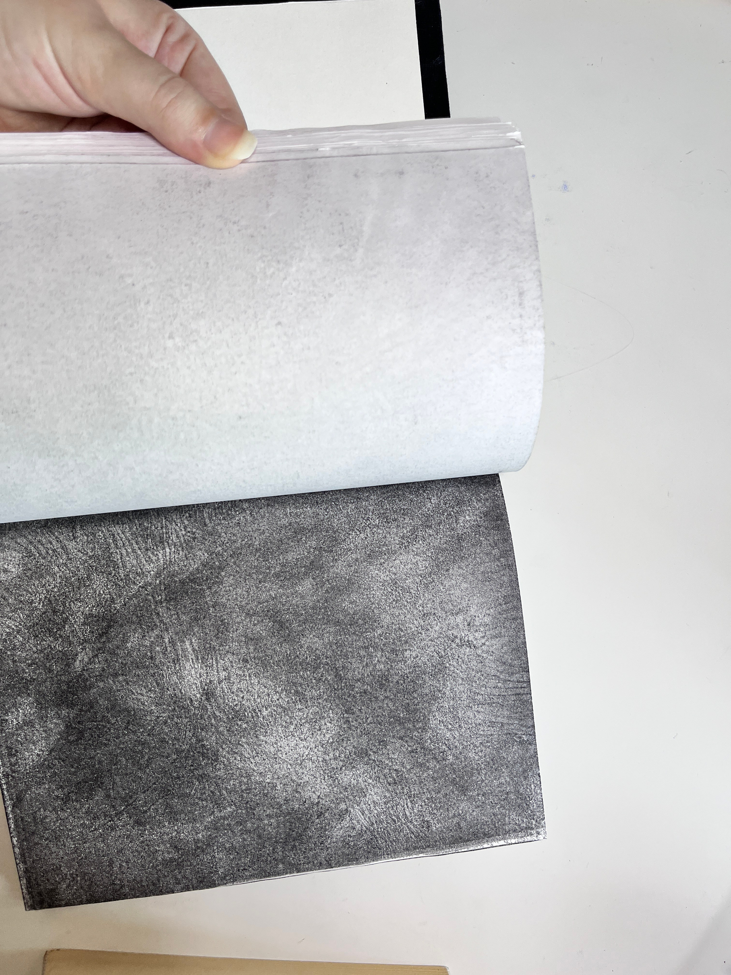 Художник  Евгения Мальцева. СОАВТОРЫ