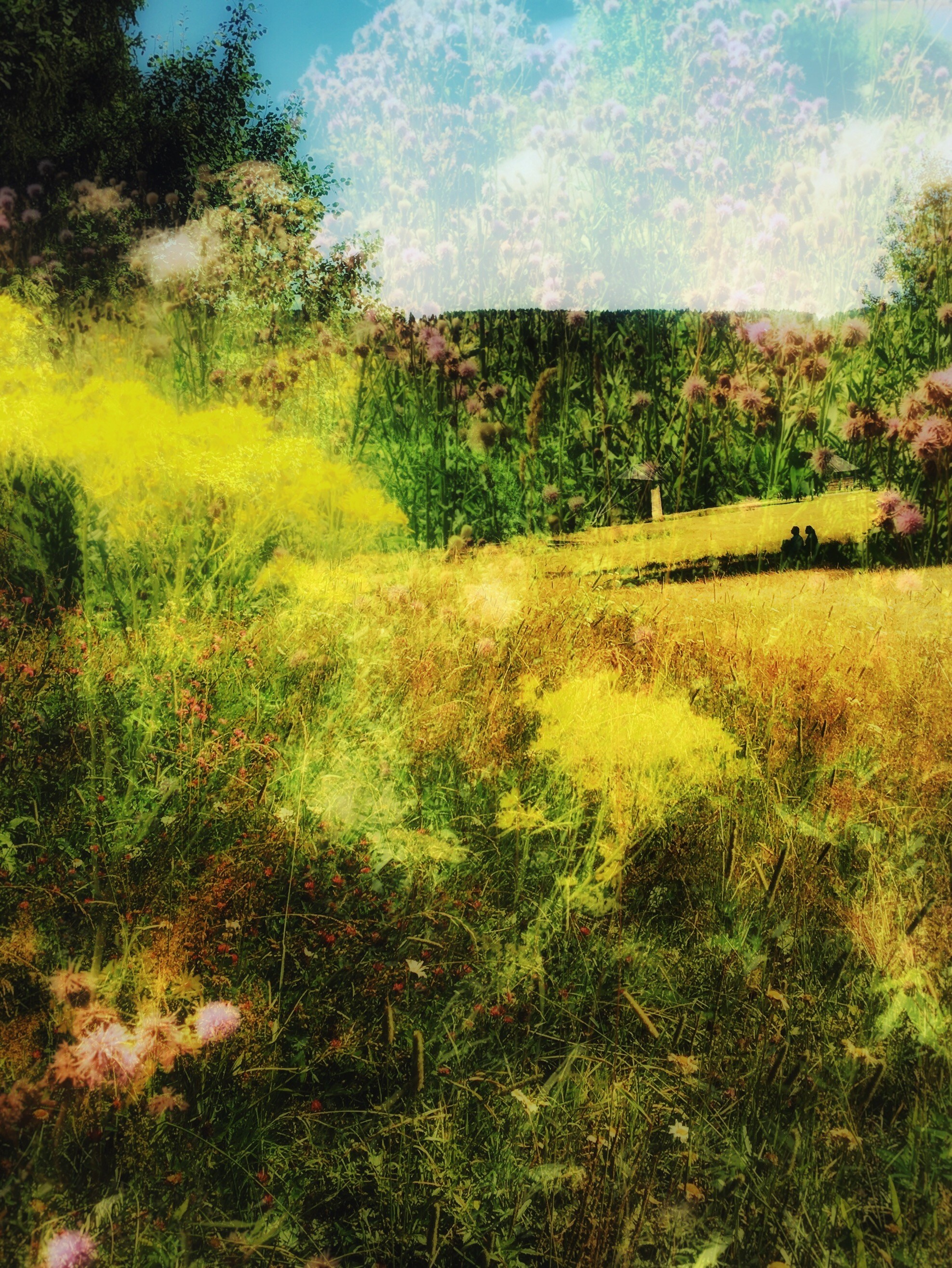 Фотоальбом: Алхимия Жизни. VITA · visual therapy arts