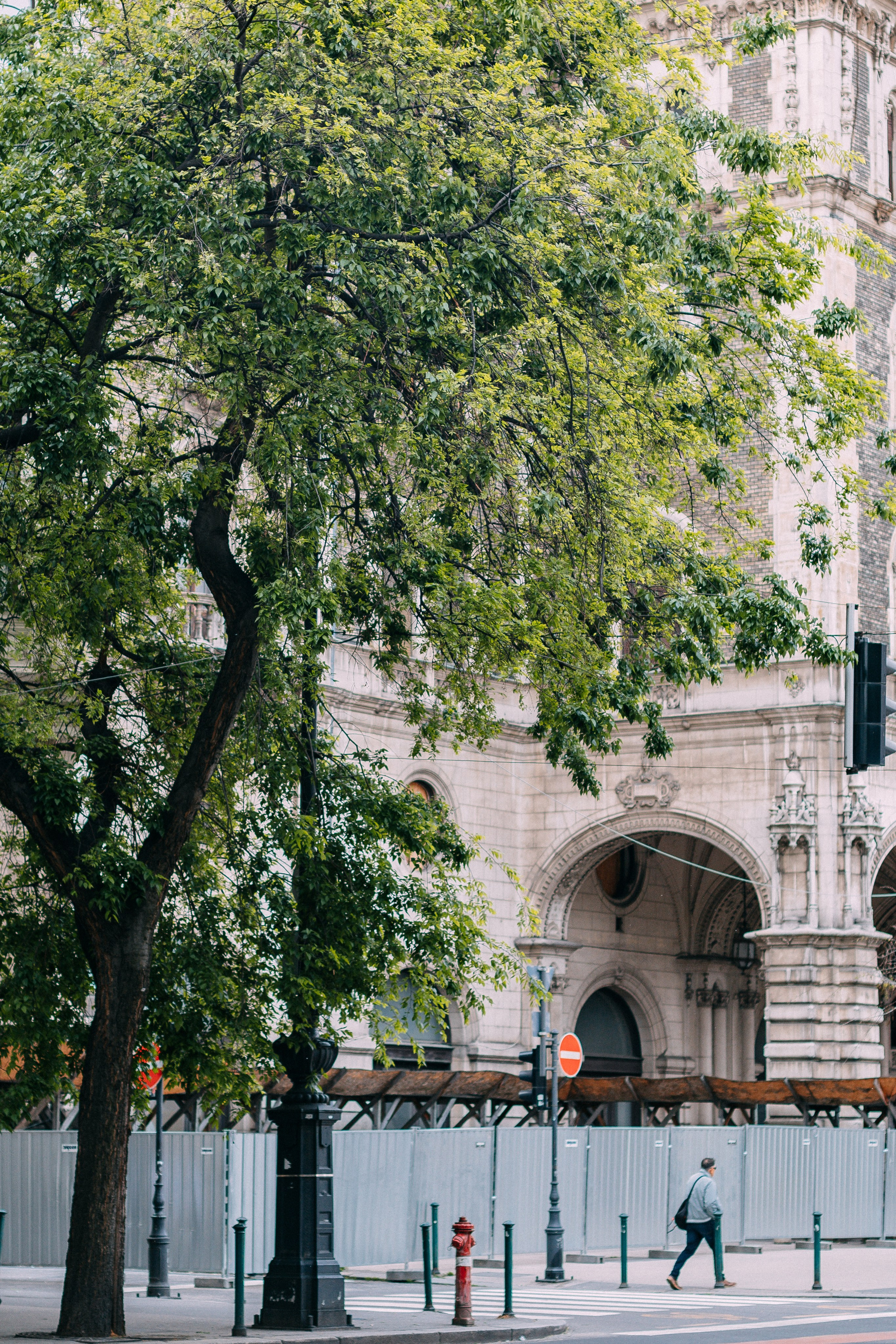 Будапешт. Аня Степанова