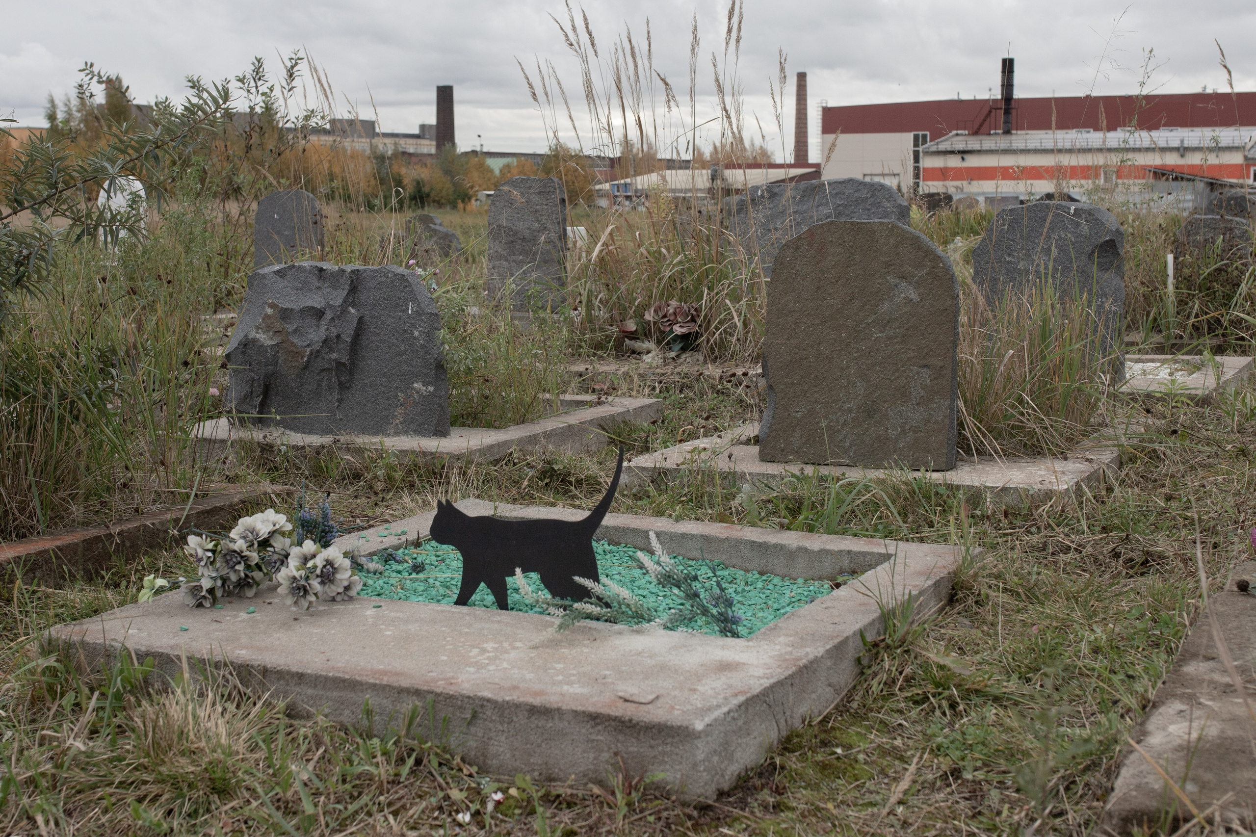 Пустота имеет место. Главная