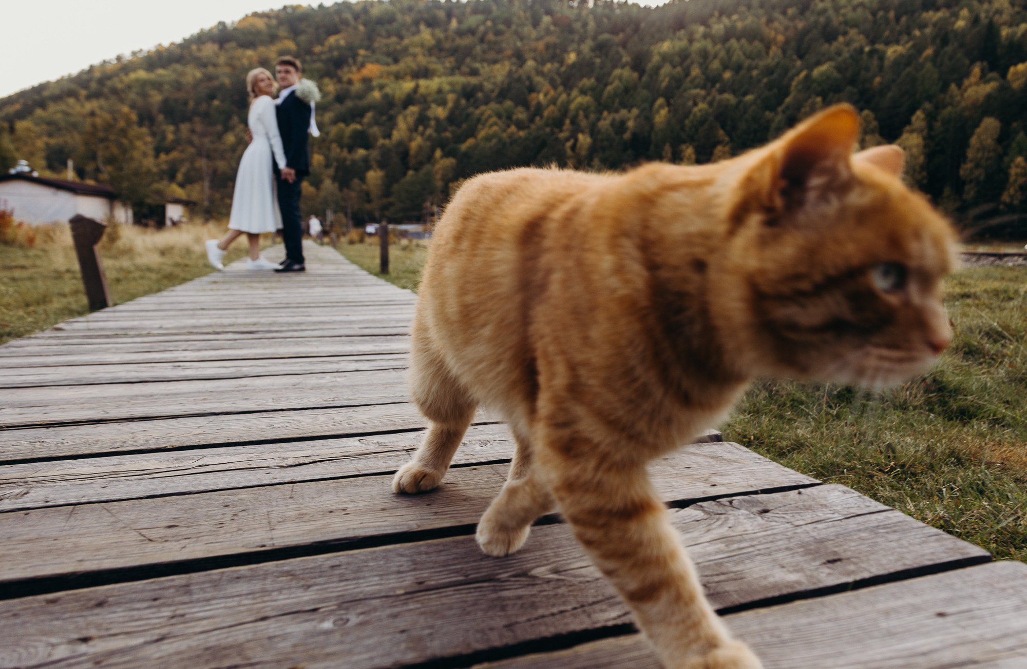 Свадебная фотосессия на Байкале. Свадебный семейный фотограф в Иркутске Светлана Светлакова