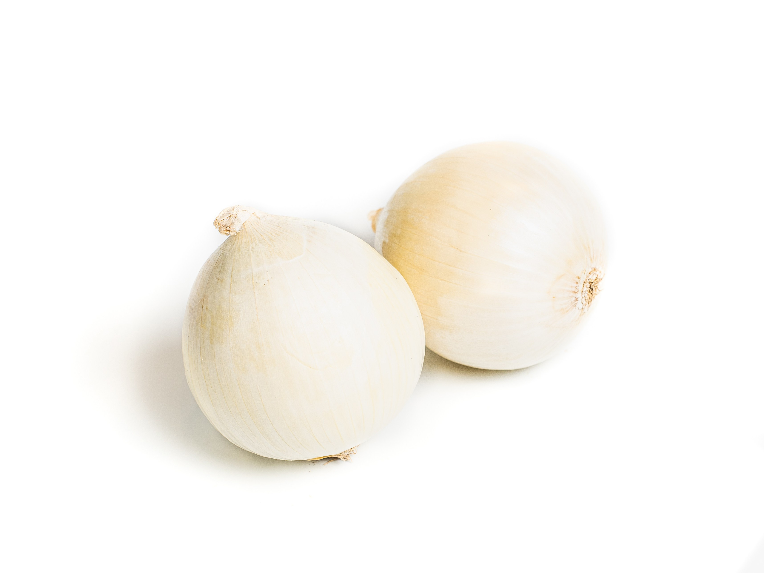 Яндекс Маркет. Предметный и фуд-фотограф в Москве Анна Царенко