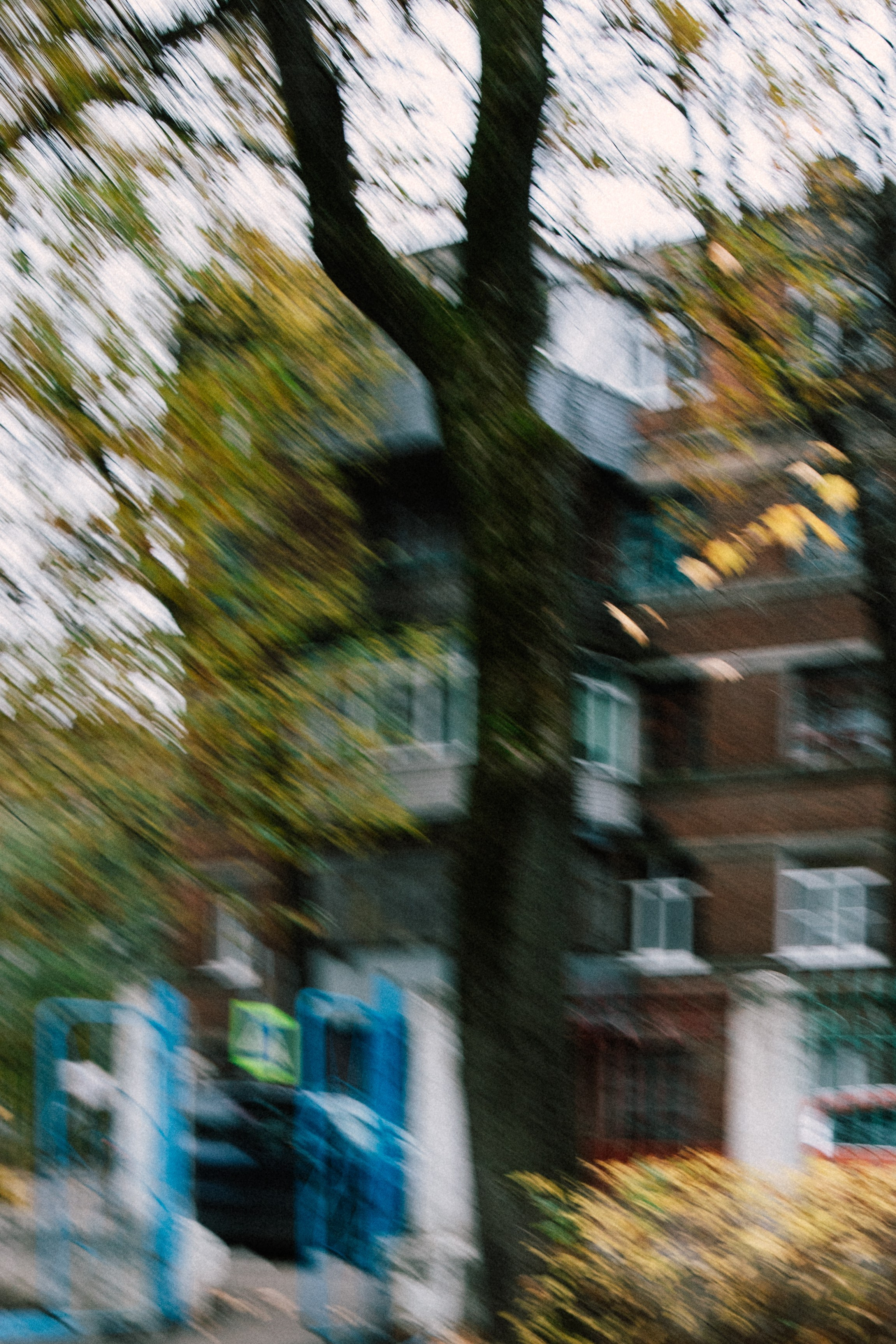 Осеннняя фотосессия с Аней. Портретный фотограф в Иванове Ольга Гуральник