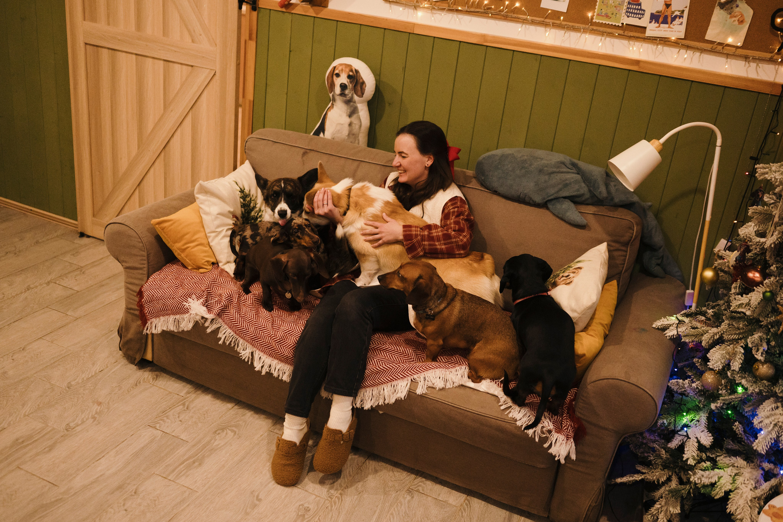 Зоогостиница Мишка. Фотограф- анималист Александра Матвеева