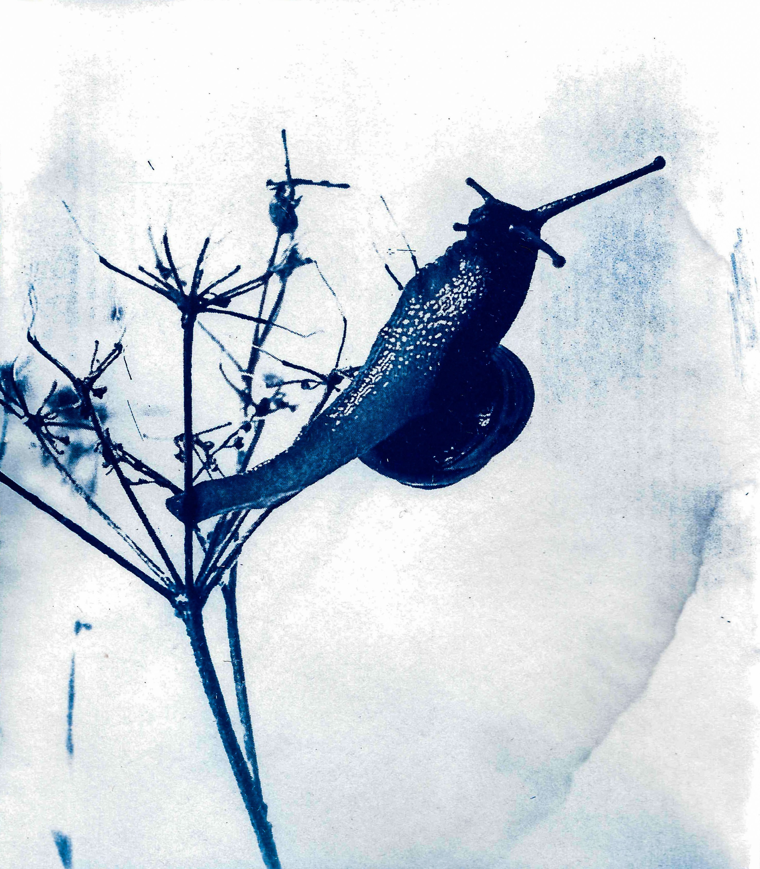 Укрытие. Катерина Эделева