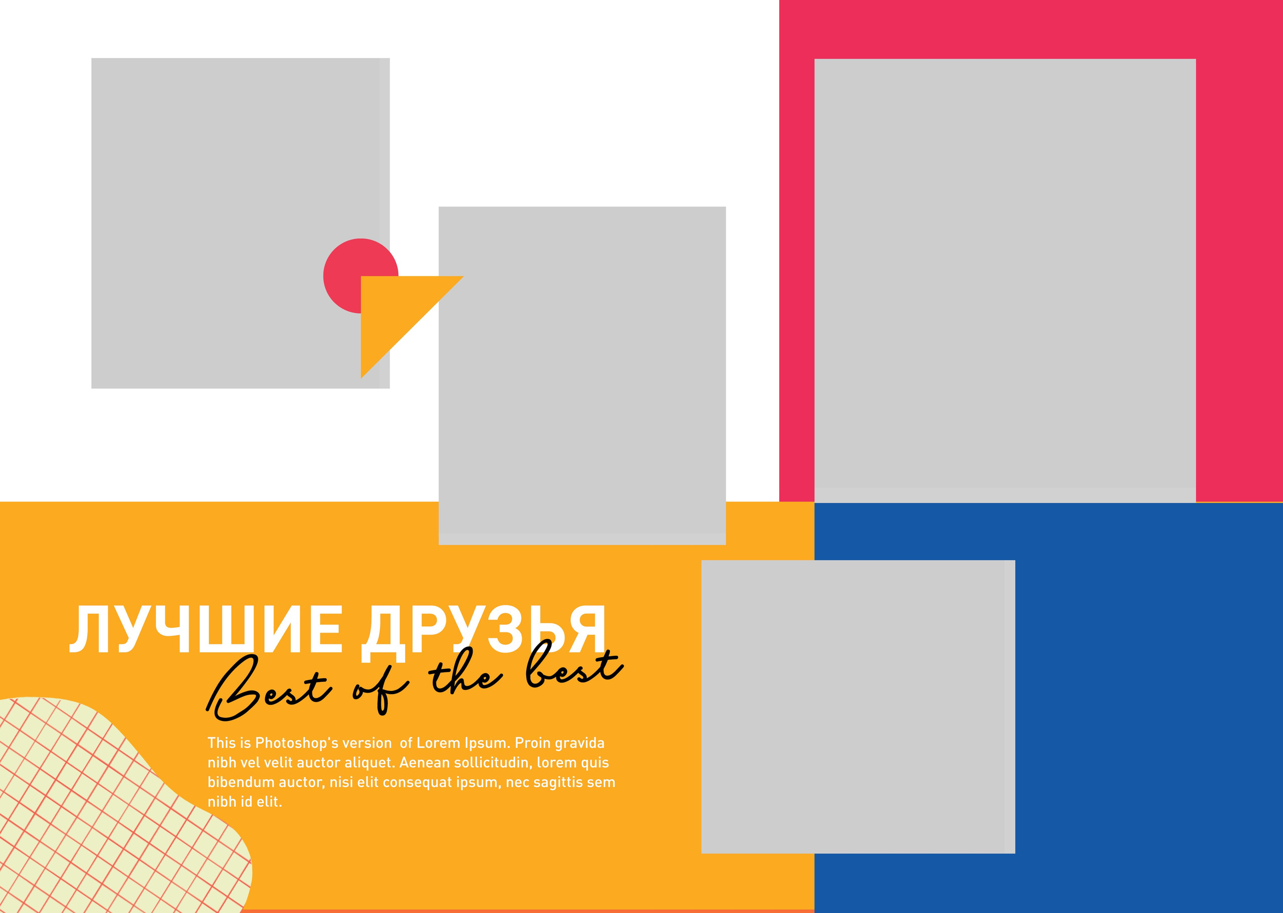 Сова. Семейный и детский фотограф София Шарабурко, Томская область