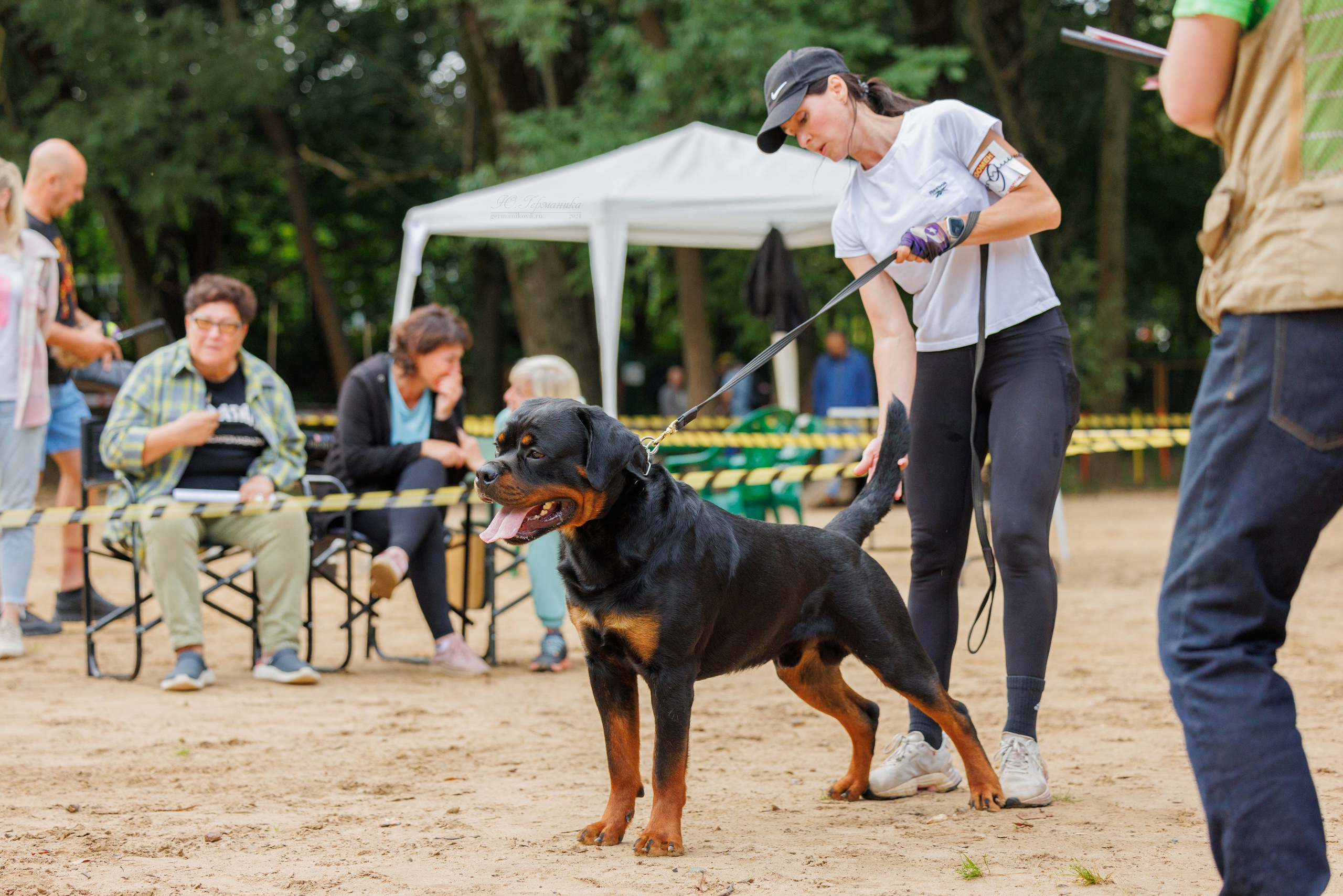 Рязань-Ховрино 10-11.08.2024 3хмоно ротвейлеров. Фотограф-анималист Юлия Германика