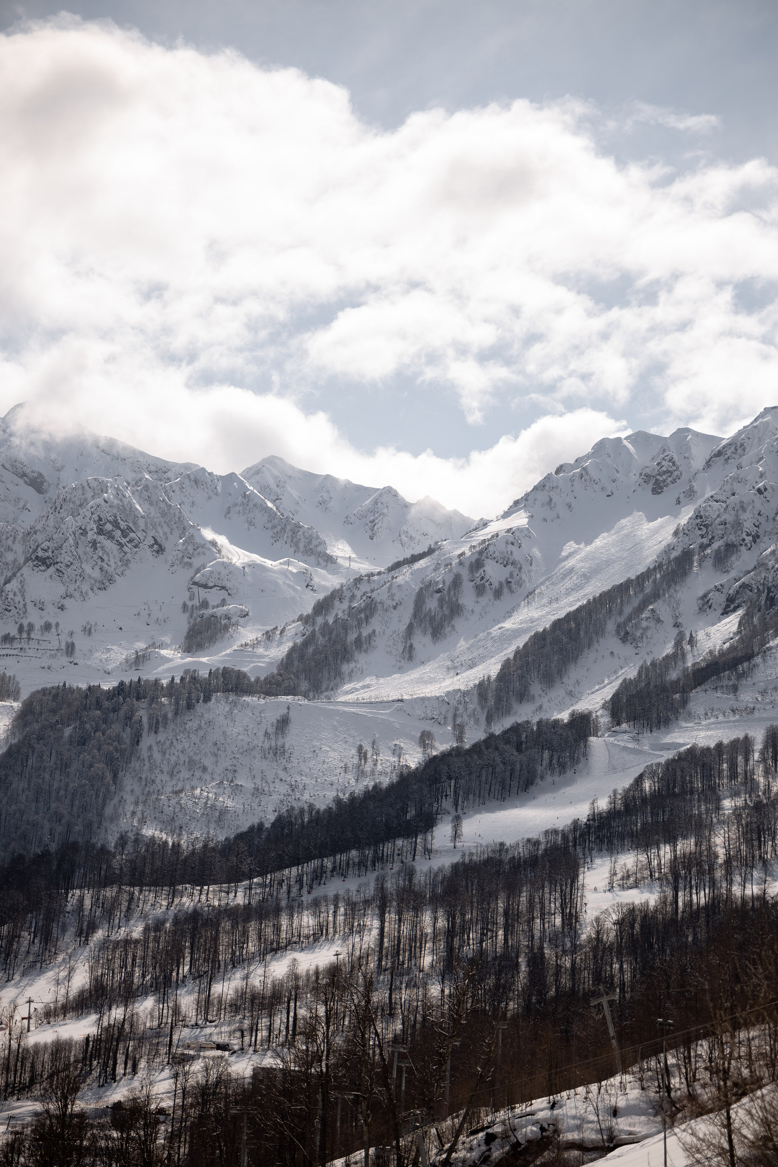 FROSED. Кто мы?