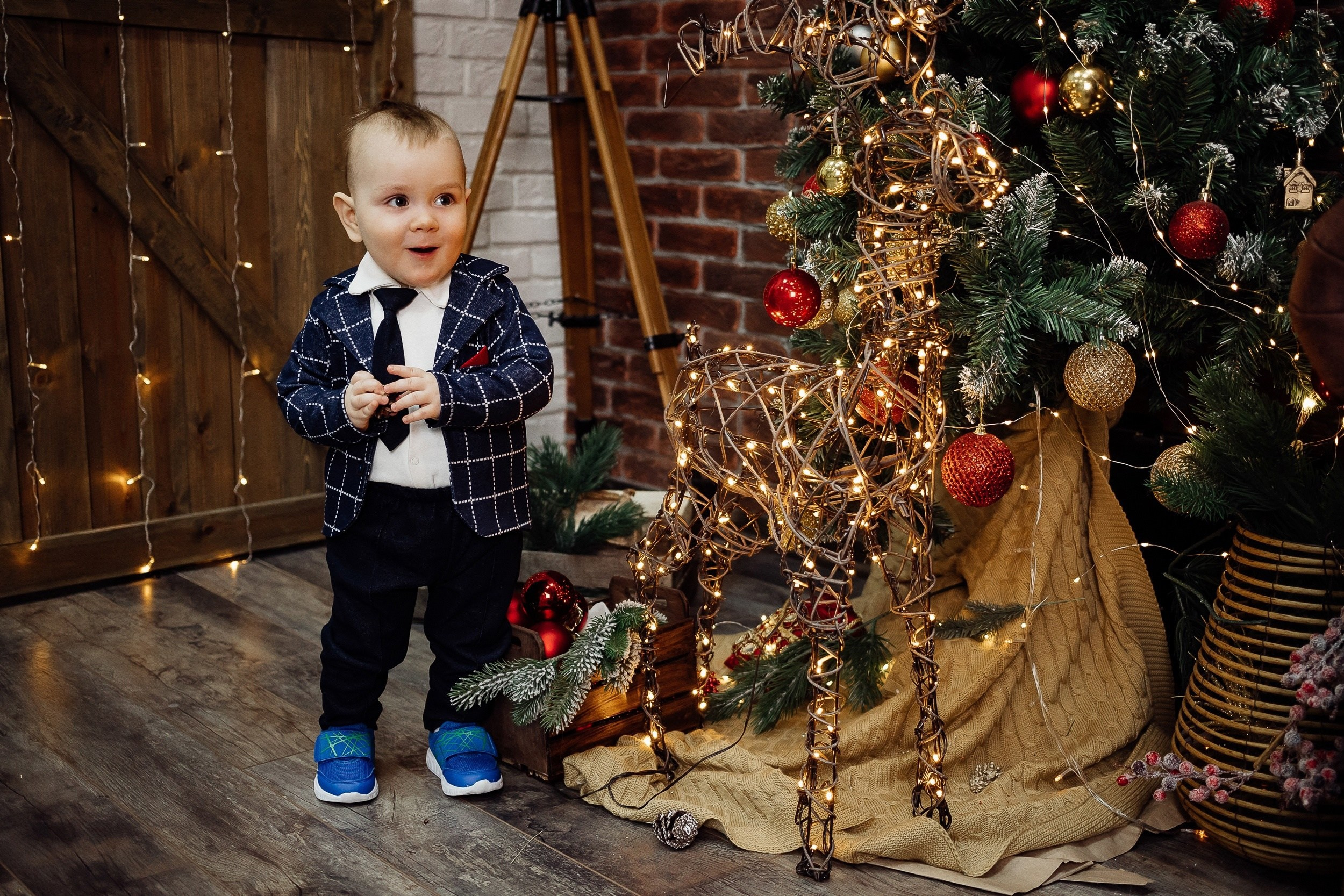 Новогоднее настроение. Фотограф Ирина Тимошева г. Киров