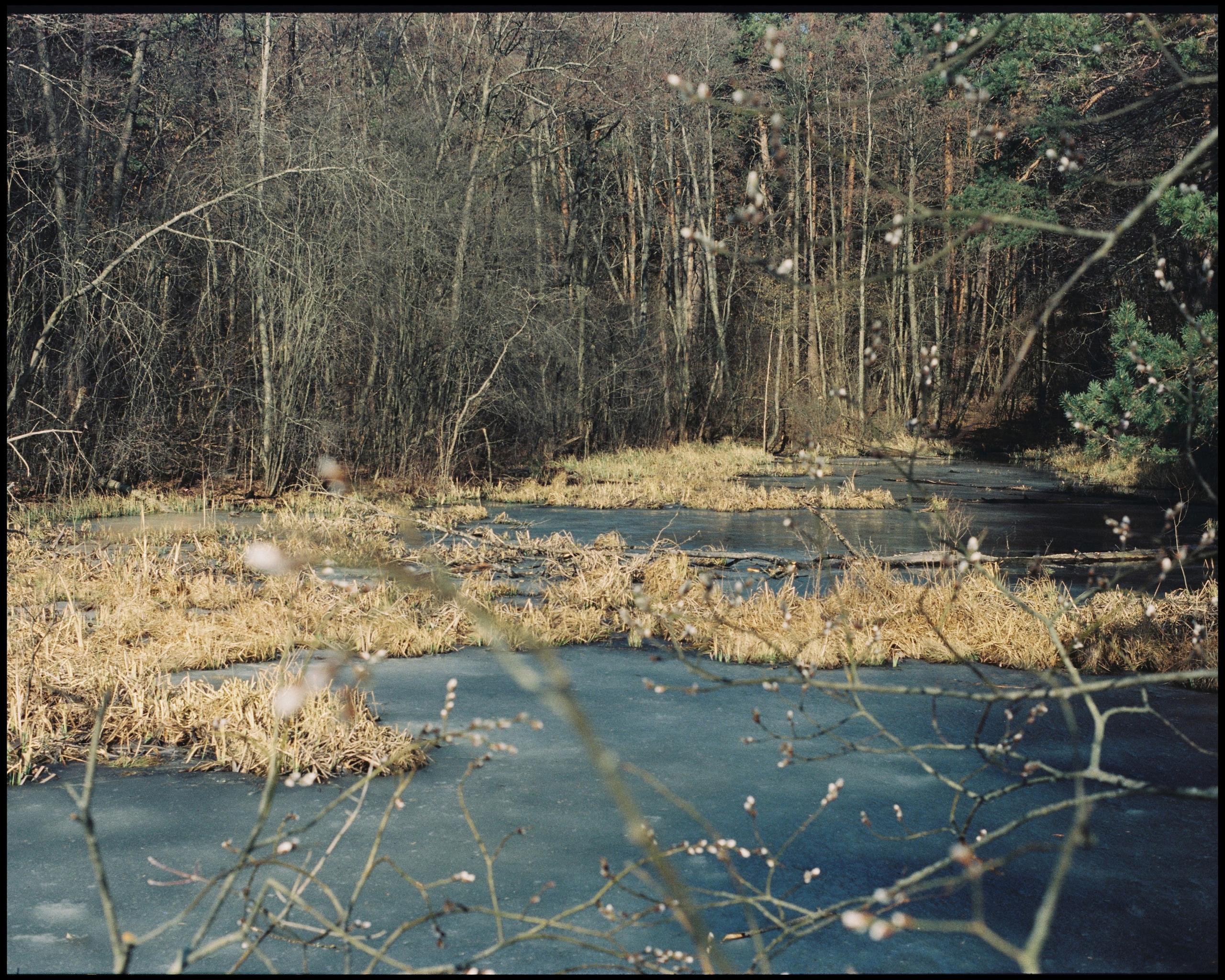 KALUGA. ANNA — PHOTOGRAPHER