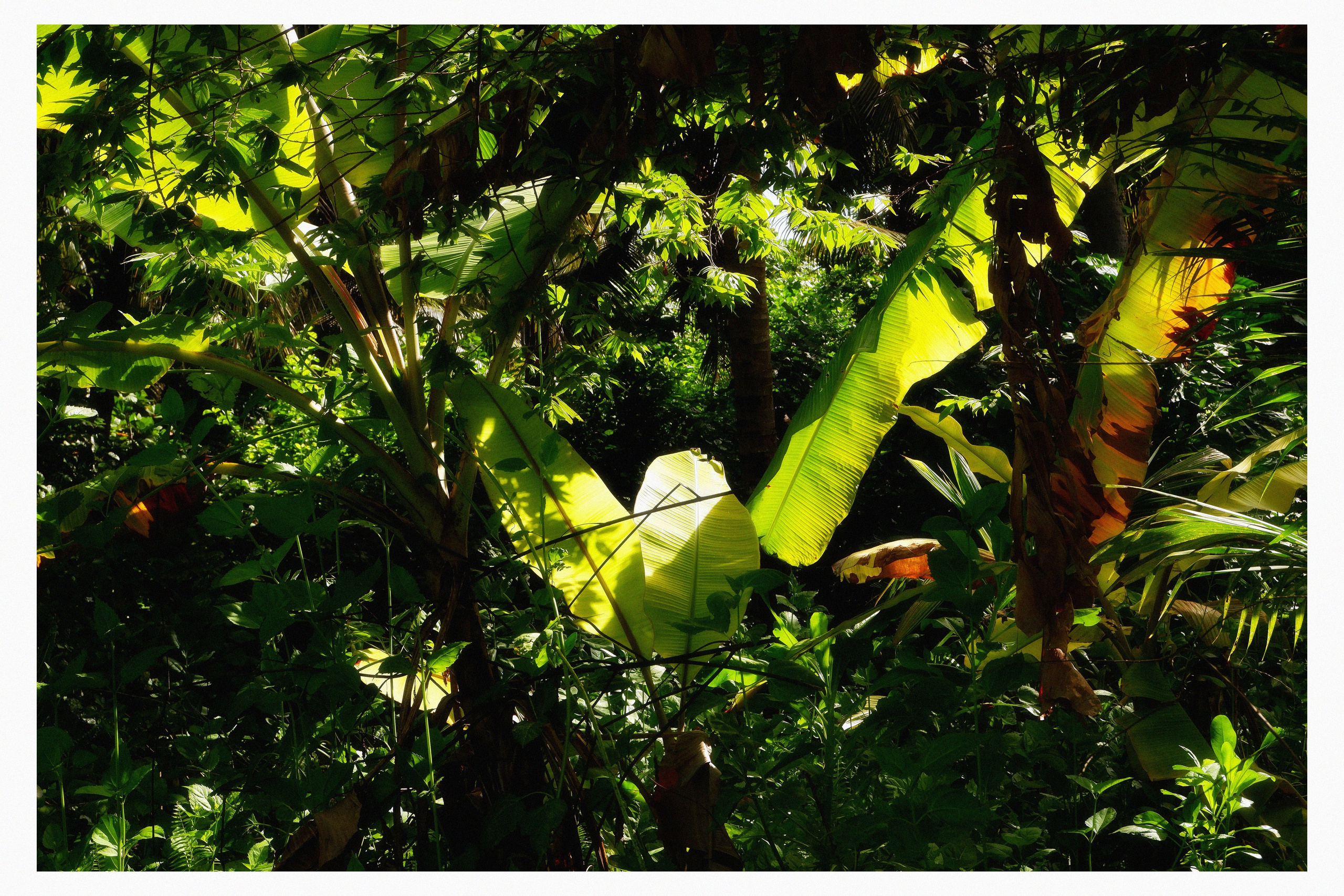 MALDIVES&BAHRAIN. ANNA — PHOTOGRAPHER