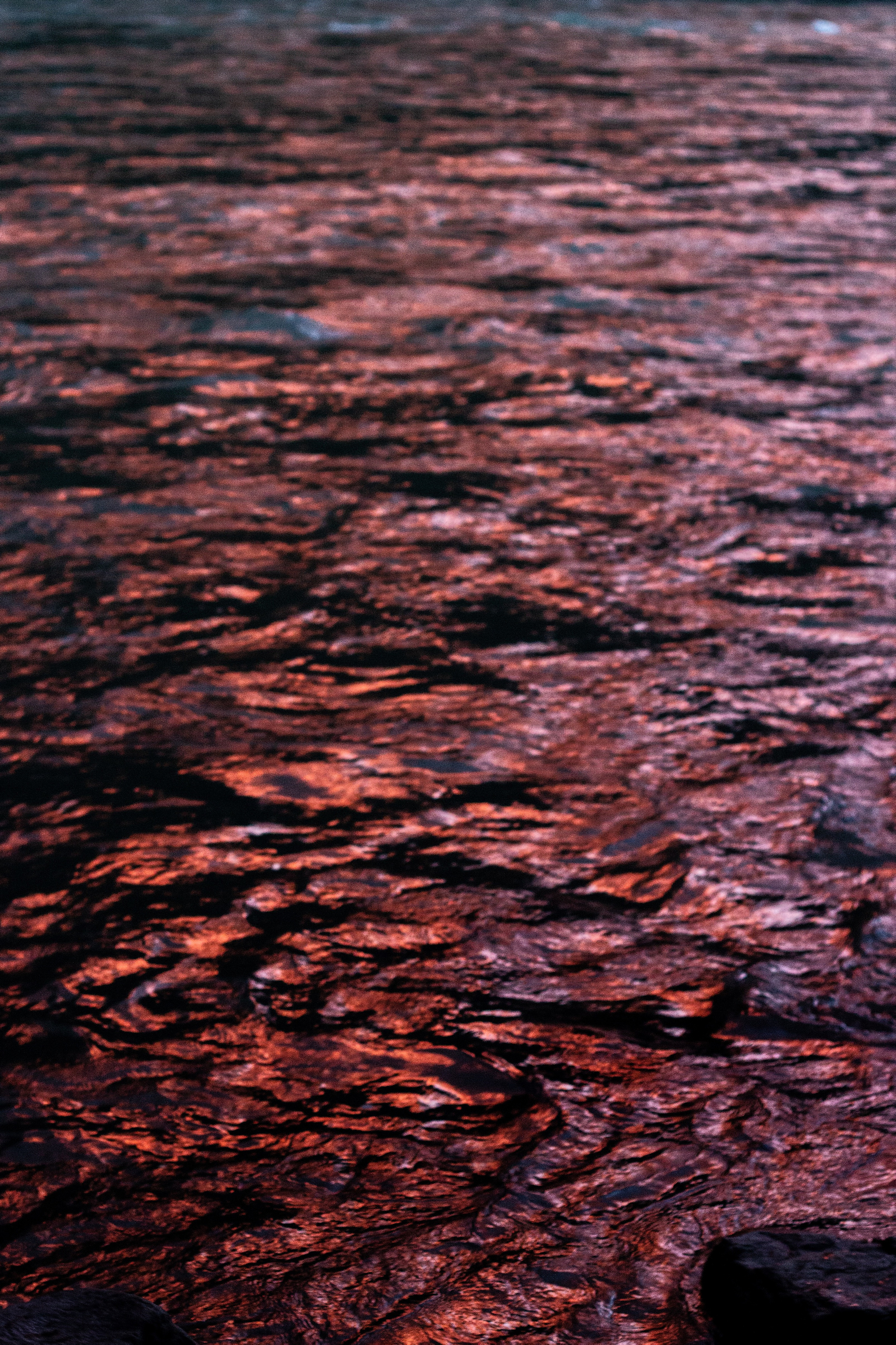 Алтай Июнь, 22. Фотограф в туре Света Сергеева