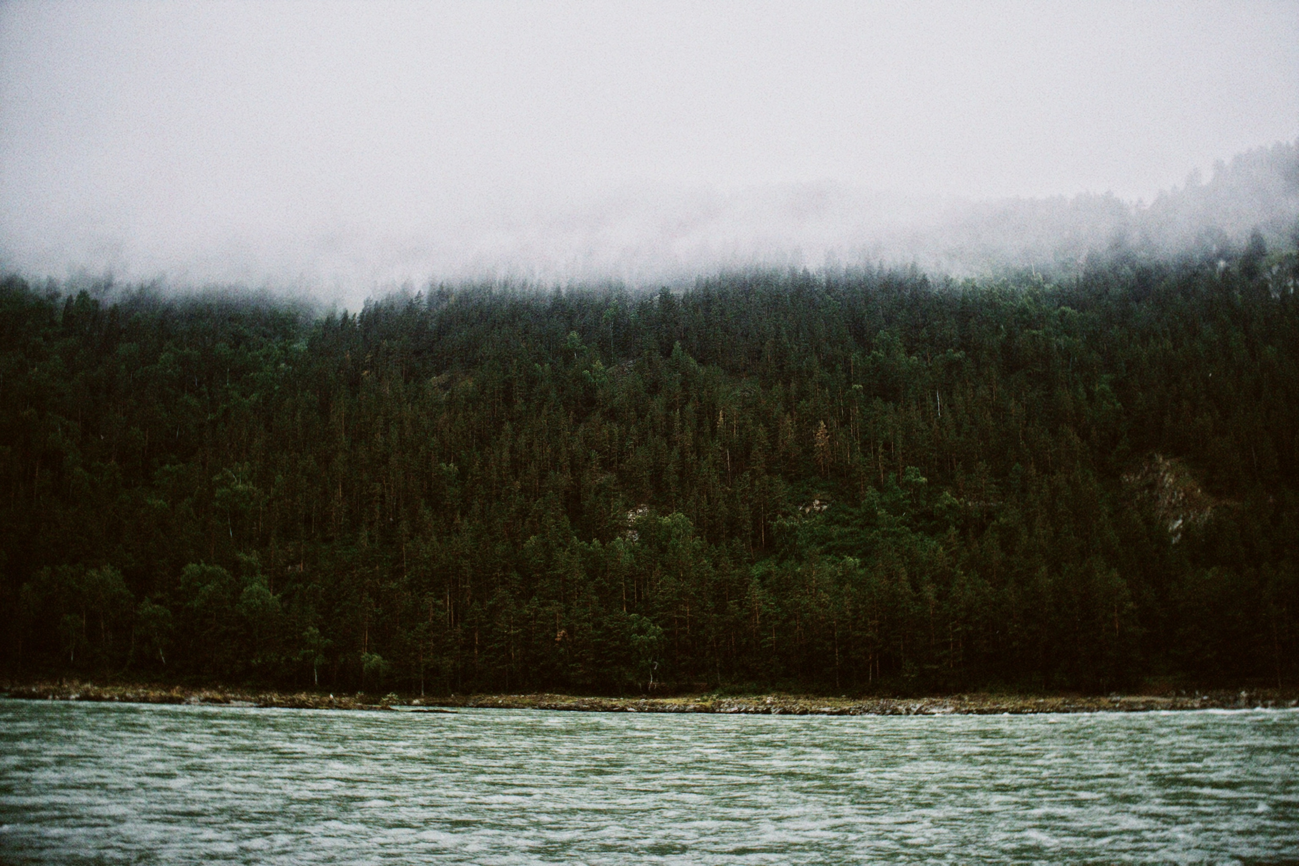 Алтай Июнь, 22. Фотограф в туре Света Сергеева