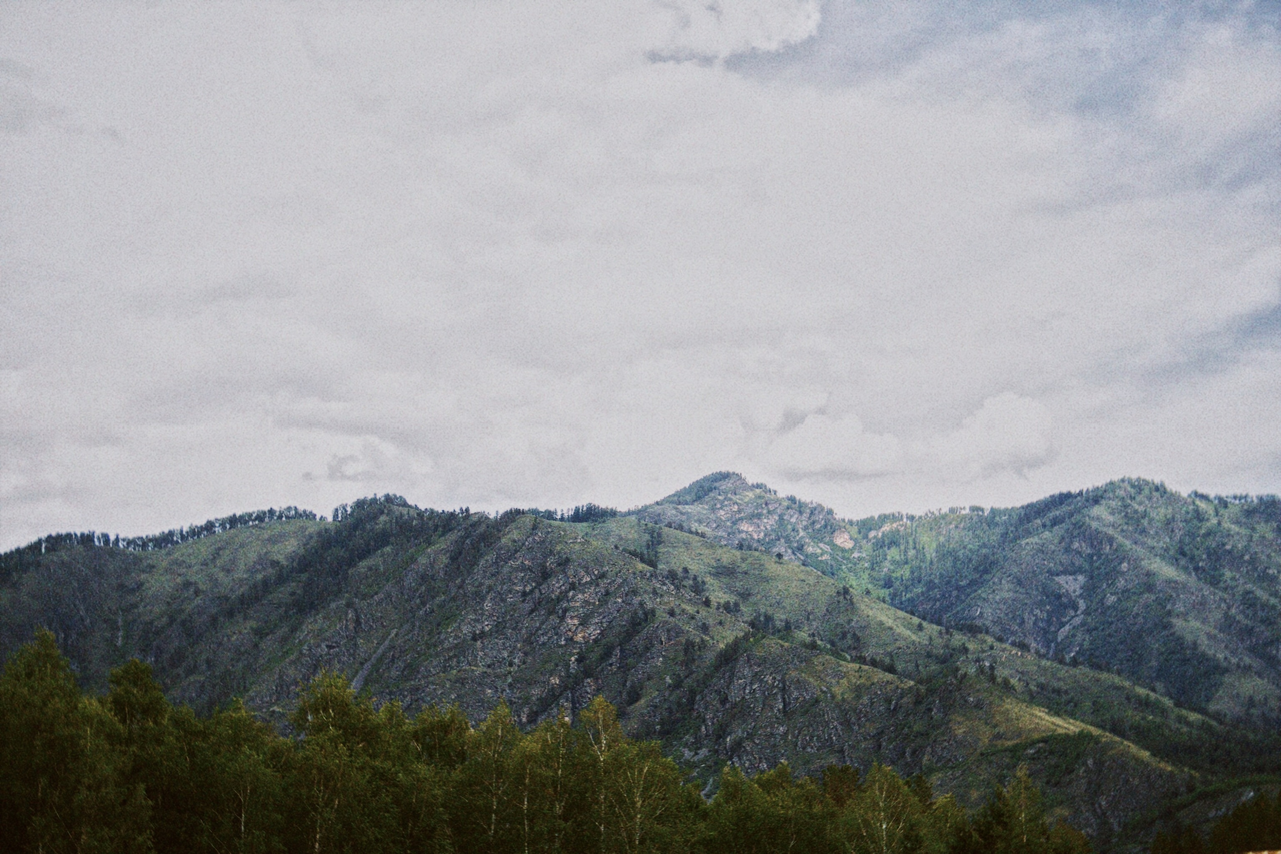 Алтай Июнь, 22. Фотограф в туре Света Сергеева