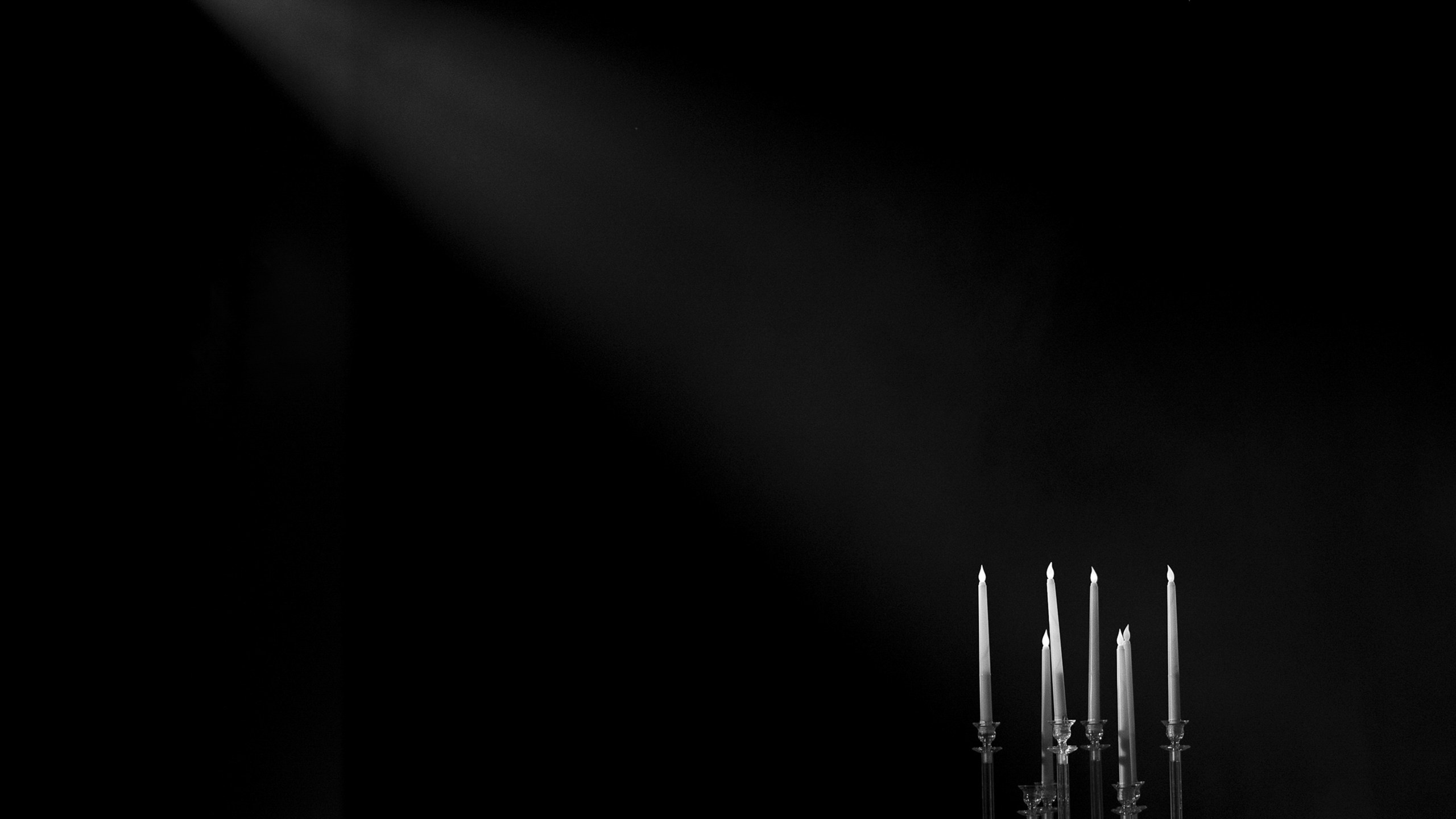 «Amore» Алина и Виталий. Свадебный фотограф и видеограф