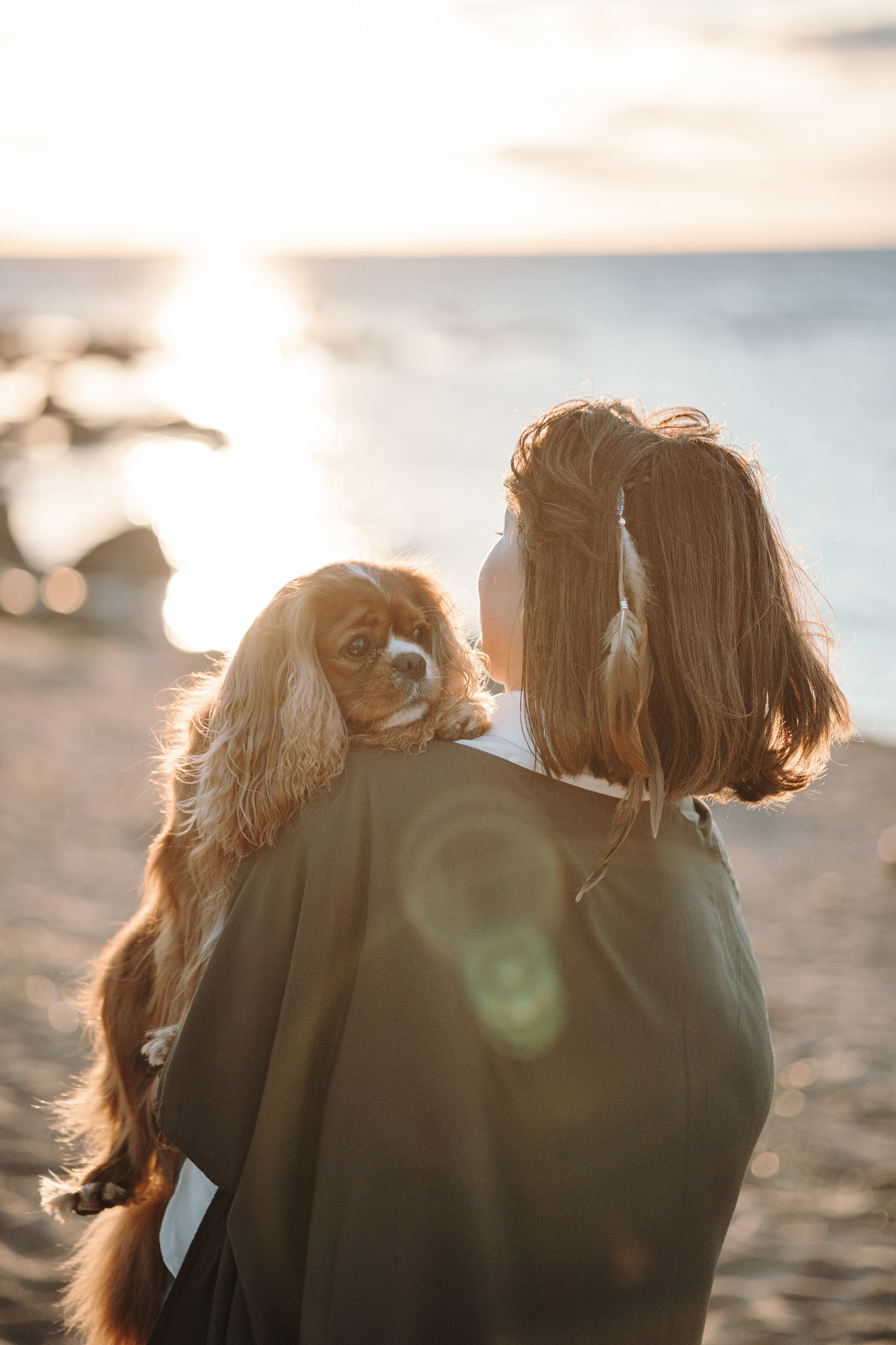 Верон, Гарри и их семья. Фотограф — Анималист | Санкт-Петербург