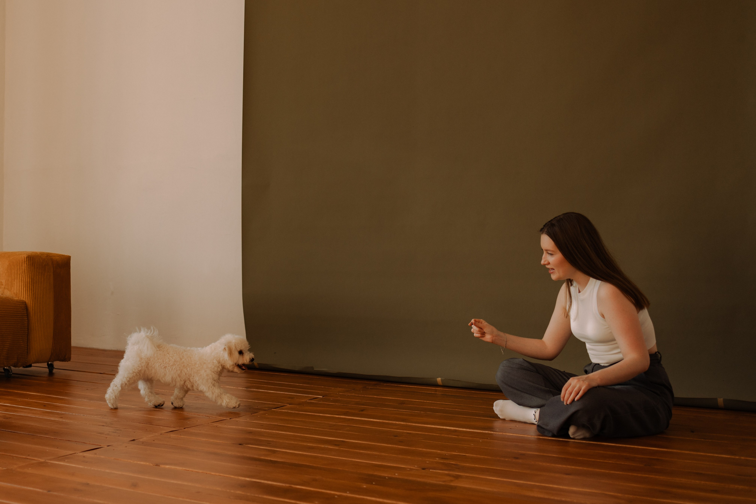 Луна и ее семья. Фотограф — Анималист | Санкт-Петербург